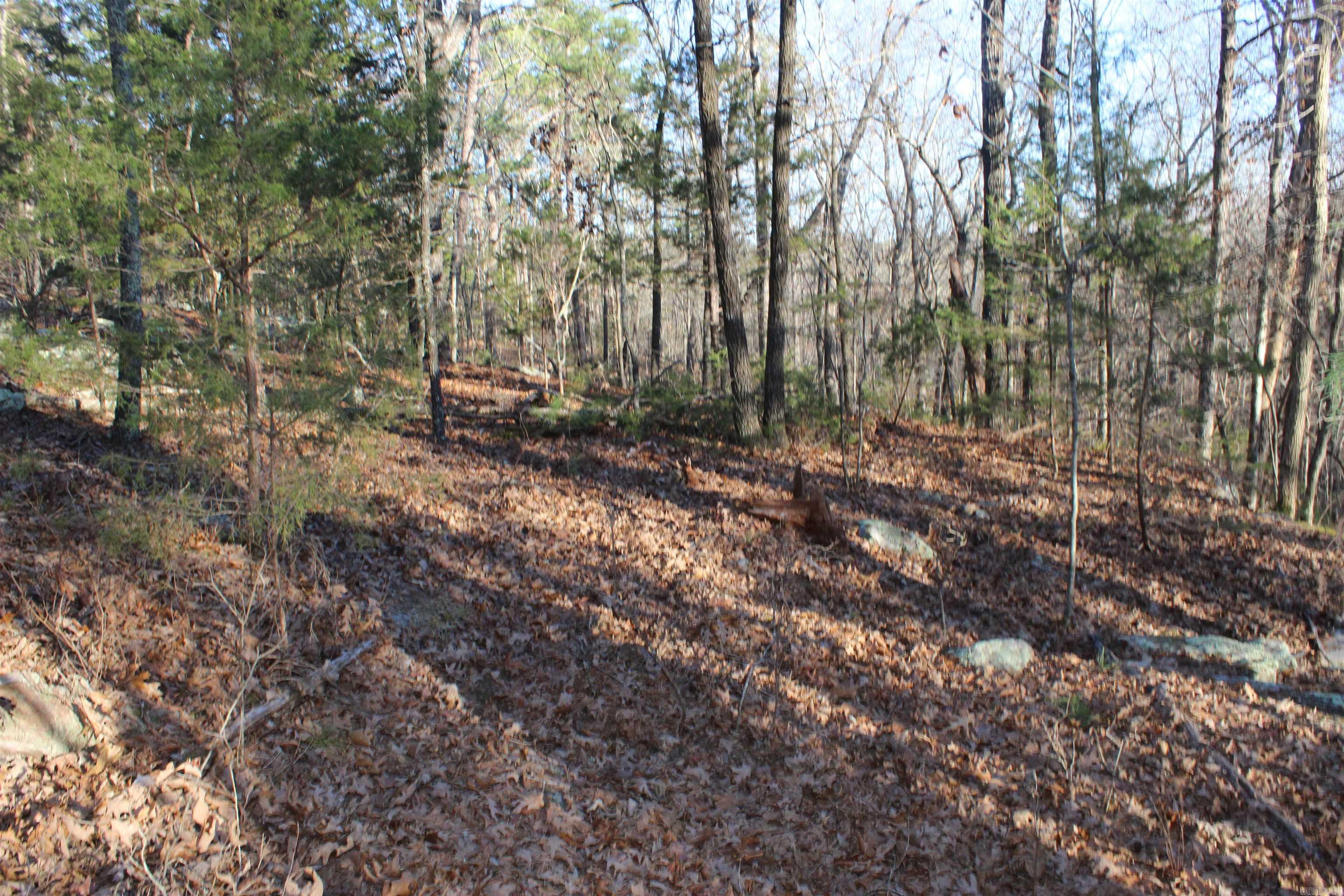 Metes & Bounds - Land