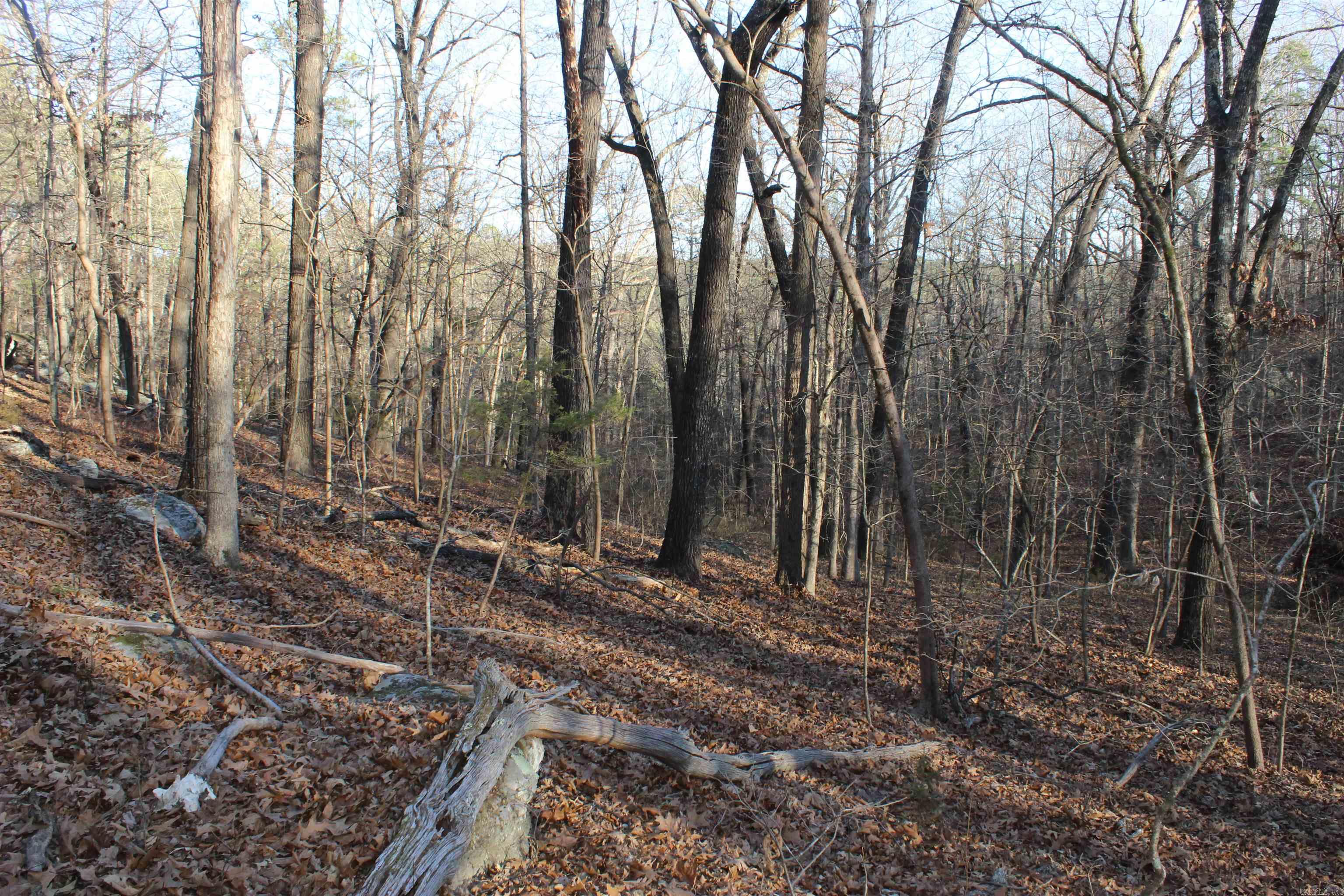 Metes & Bounds - Land