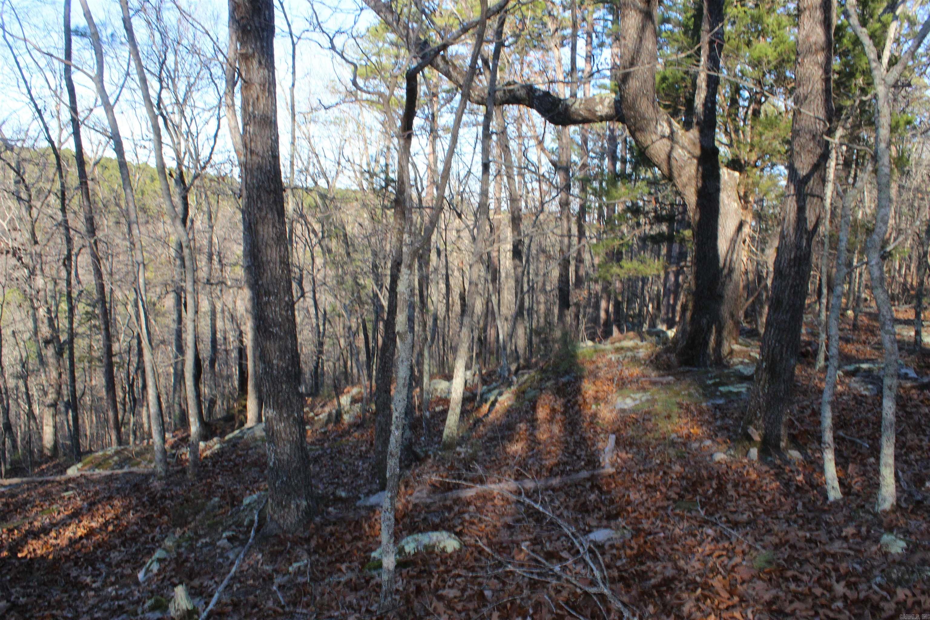 Metes & Bounds - Land