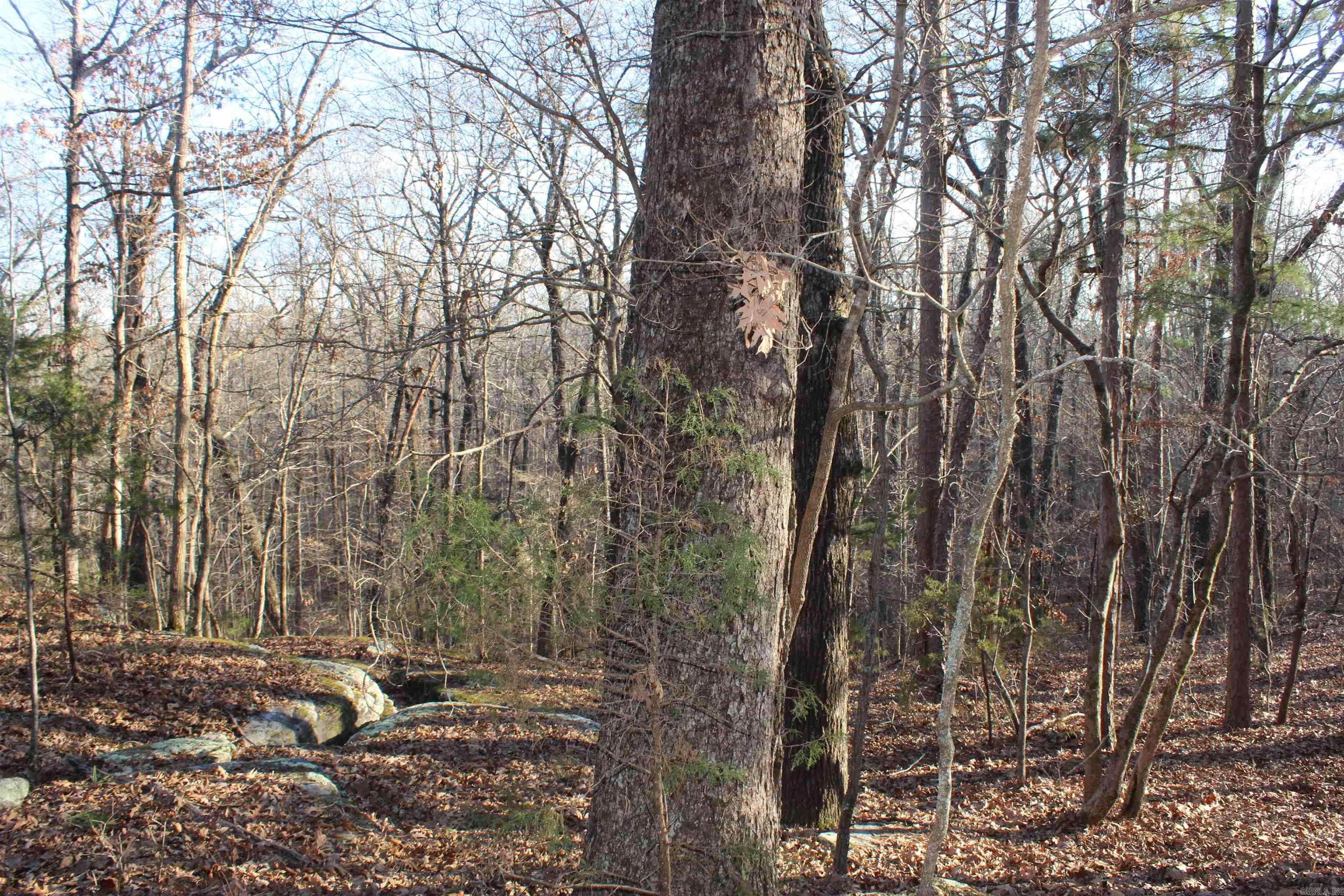 Metes & Bounds - Land