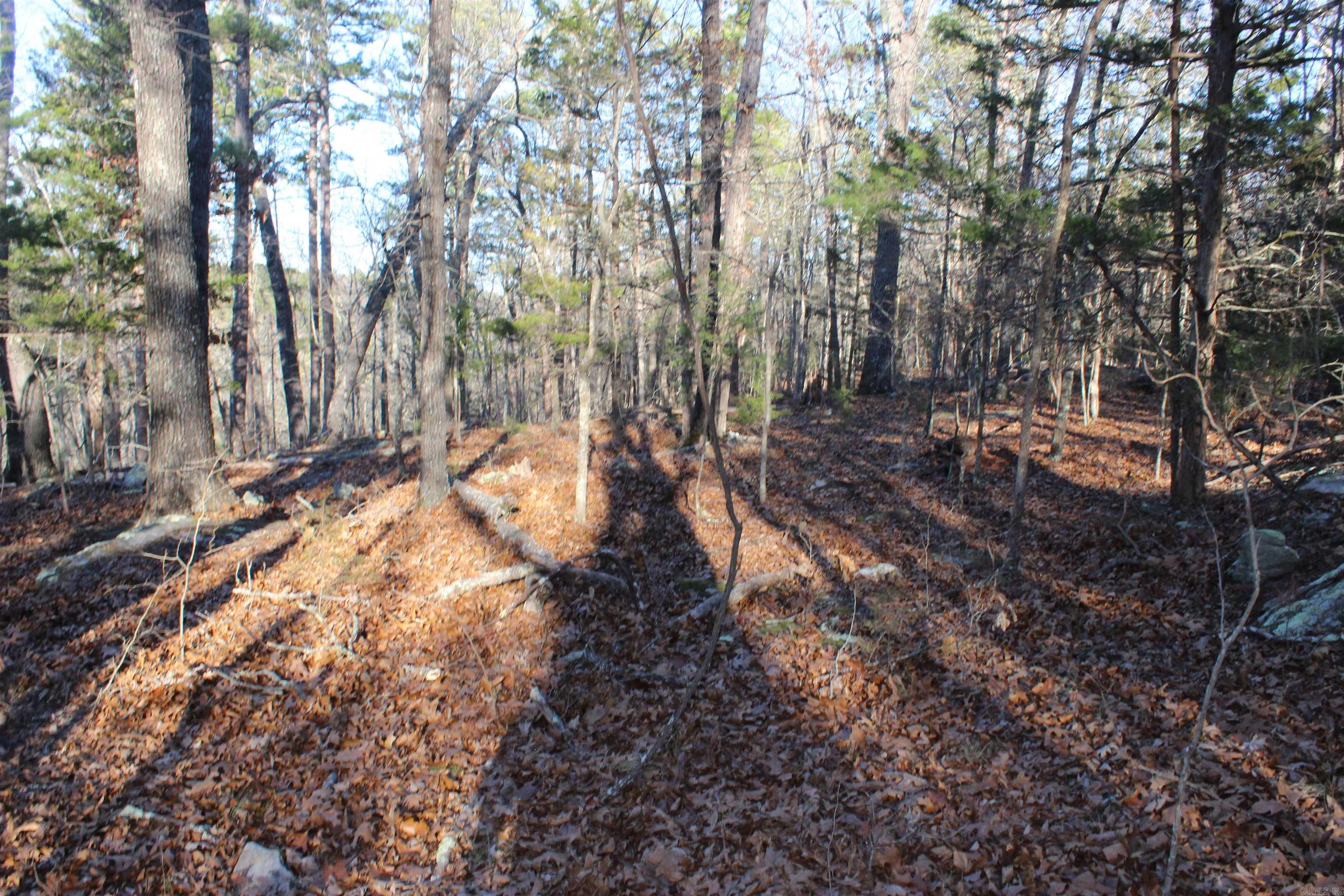 Metes & Bounds - Land