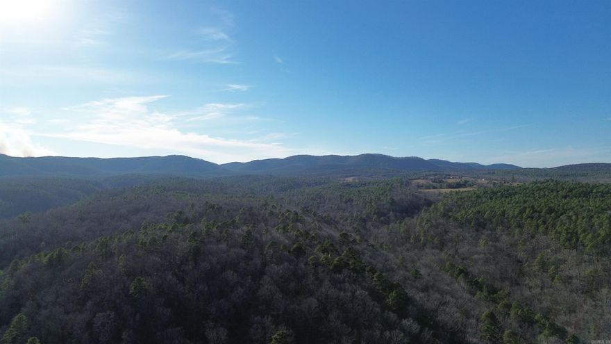 Tucked into the heart of the Ozark Mountains, this exceptional 40± acre tract of recreational timberland is a true hunter’s dream. Completely bordered on all four sides by the Ozarks National Forest, the property offers unmatched privacy and access to thousands of acres of public land. Abundant wildlife includes whitetail deer, turkey, bear, wild hogs, and a variety of small game. The land features mature hardwoods, scenic rock outcroppings, and classic Ozark terrain, creating both outstanding hunting opportunities and breathtaking natural beauty. An off-grid hunting cabin is already in place, providing comfortable shelter for extended stays spent hunting, exploring, or simply enjoying the peaceful surroundings. Whether you’re an avid outdoorsman, hunter, or nature enthusiast seeking a secluded retreat, this is a rare opportunity to own a truly remarkable piece of the Ozarks. Access is a permitted access.