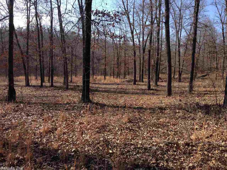 40 acres of beautiful Ozark Mountain hunting property in Northwest Randolph County. Deer Zone 3. Covered in beautiful hardwoods with a creek and 2 under brushed food plot areas, and several trails!