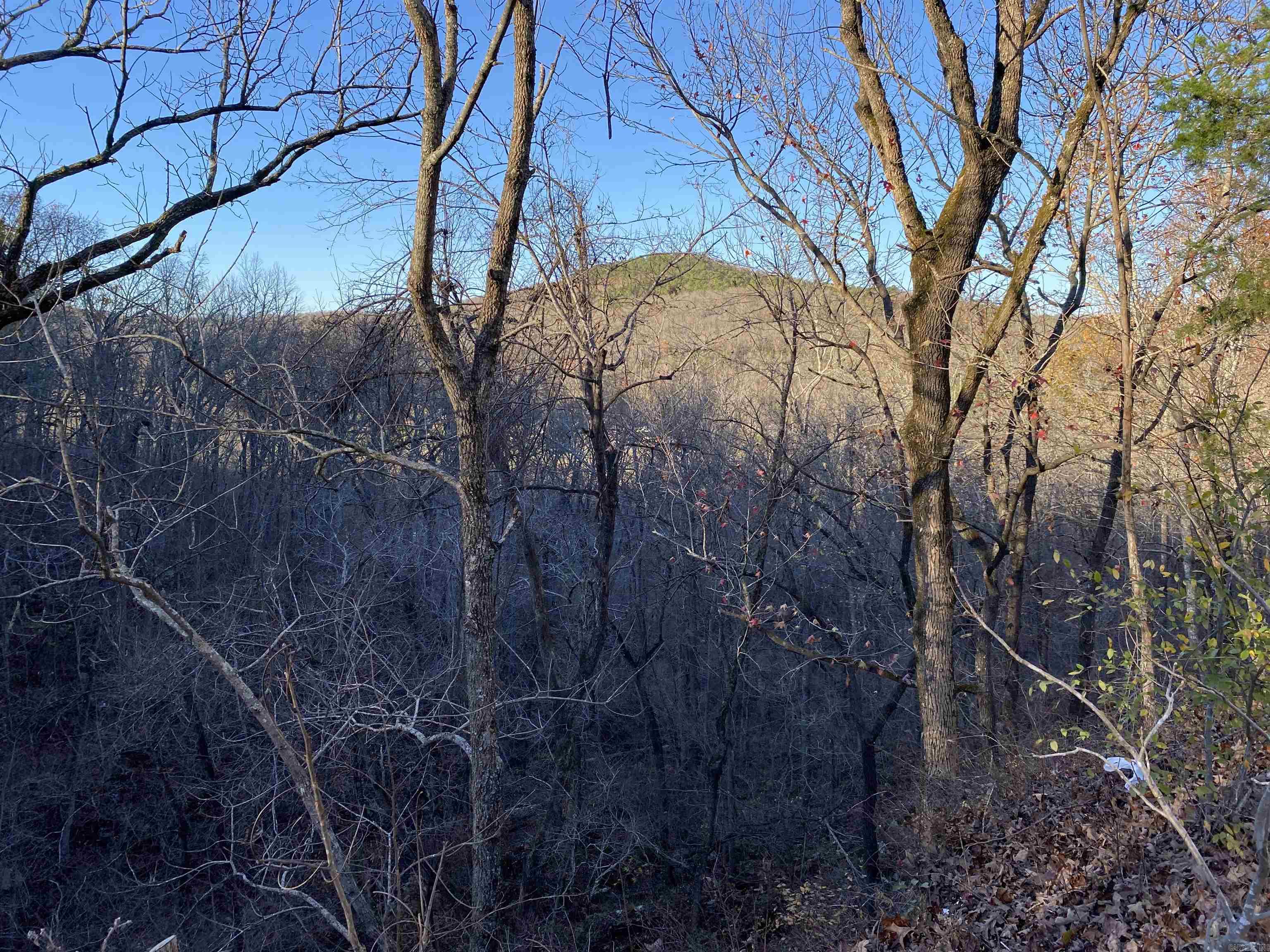 36 Acres with Views, Utilities & Shop, No Restrictions - Near Leslie, AR This beautiful 36-acre property sits above the Red River, partially cleared with timber still standing for privacy. A homesite has already been cleared, offering long-range views. The land includes a 24x24 metal shop with loft, wired with 110 & 220, a well, septic, wet-weather spring, and even a possible undeveloped cave. Multiple building sites make this ideal for a home or getaway. Just minutes from the charming town of Leslie, AR—known for its antique shops and eateries like Skylark Café, Red River Café, and Serenity Bread. Only 30 minutes to the Buffalo National River or Greers Ferry Lake, and just 40 minutes to Mountain View, home of the famous Bean Festival and top-tier trout fishing on the White River at Sylamore.