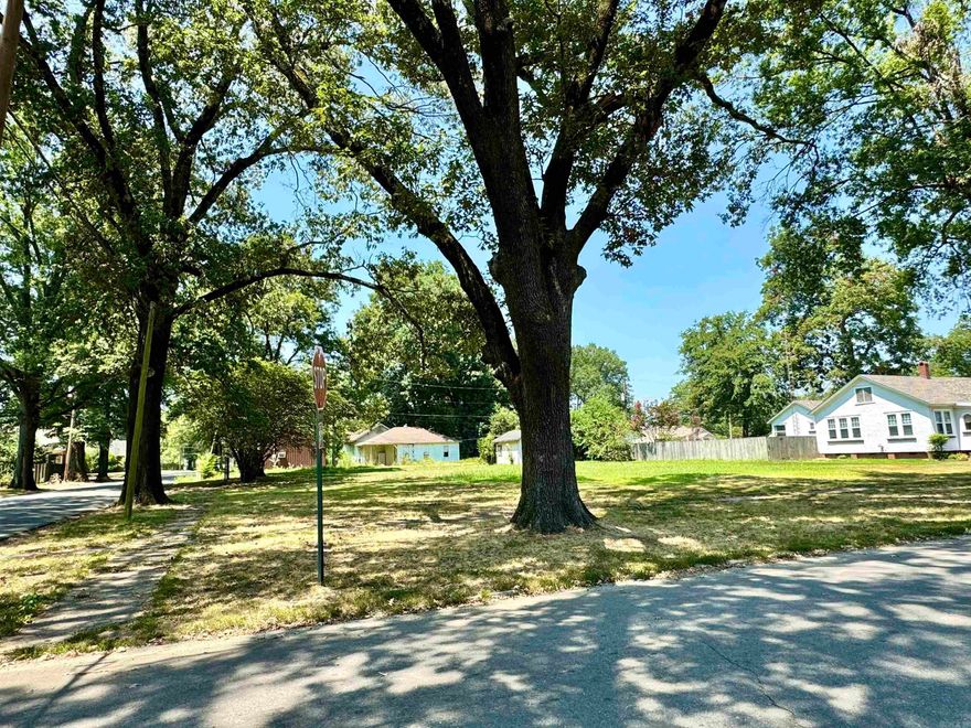 This large lot would make a great residential lot, there had once been a nice home here. Located in the center of town, and surrounded by many beautiful homes. The lot is large and might be a great option to divide with City permission.