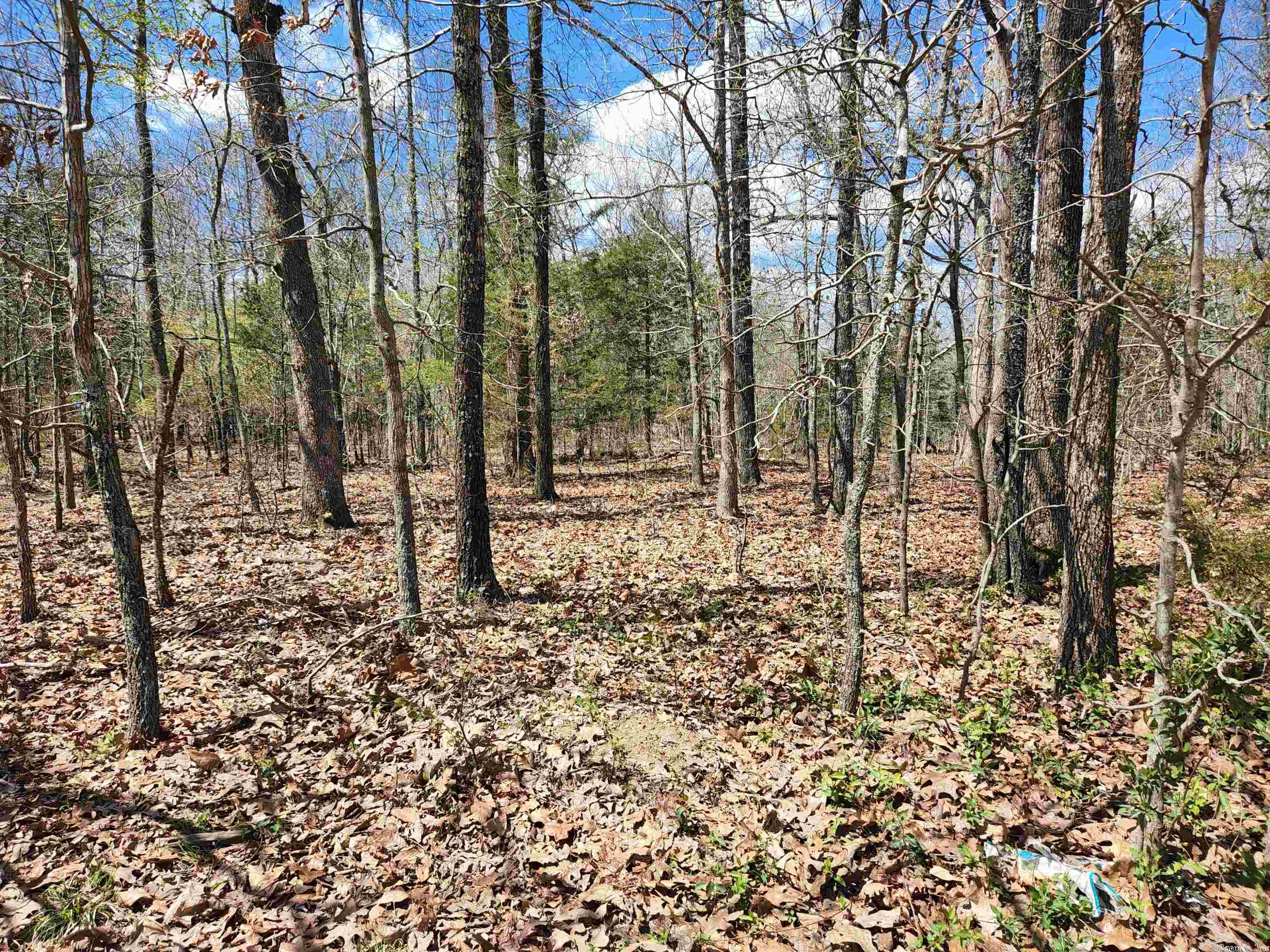 OZARK HEIGHTS HIDDEN VALLEY - Land