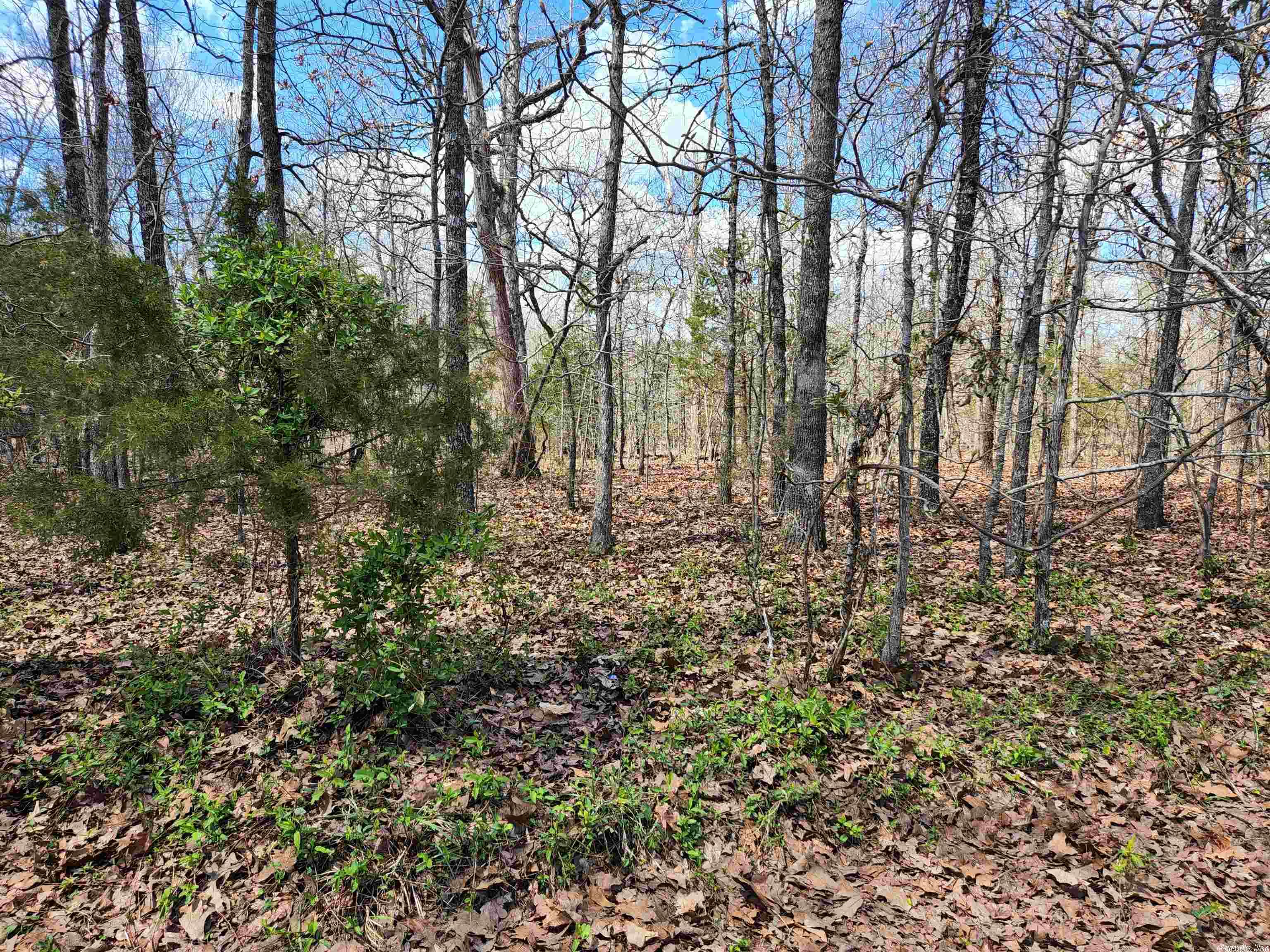 OZARK HEIGHTS HIDDEN VALLEY - Land