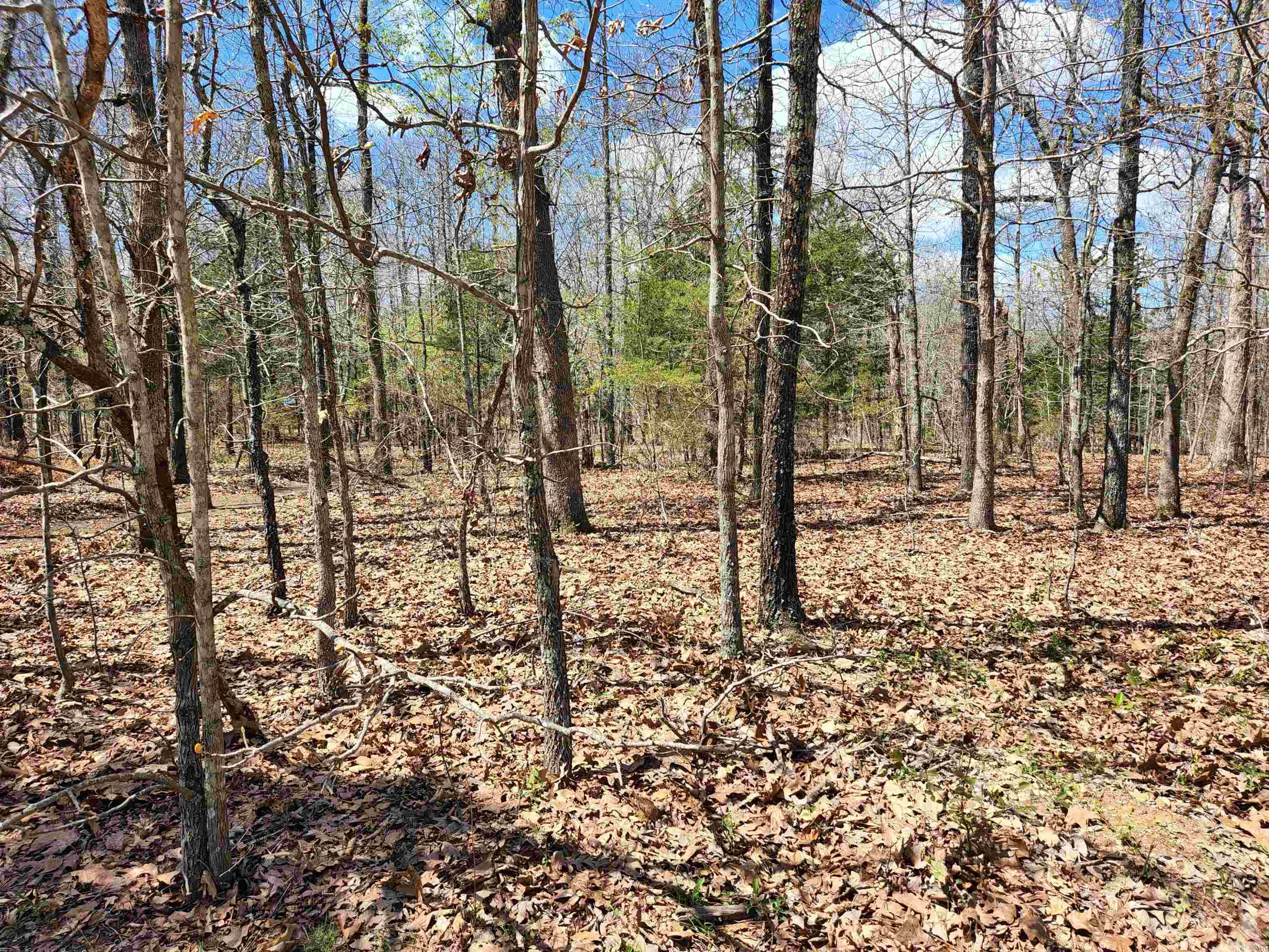 OZARK HEIGHTS HIDDEN VALLEY - Land