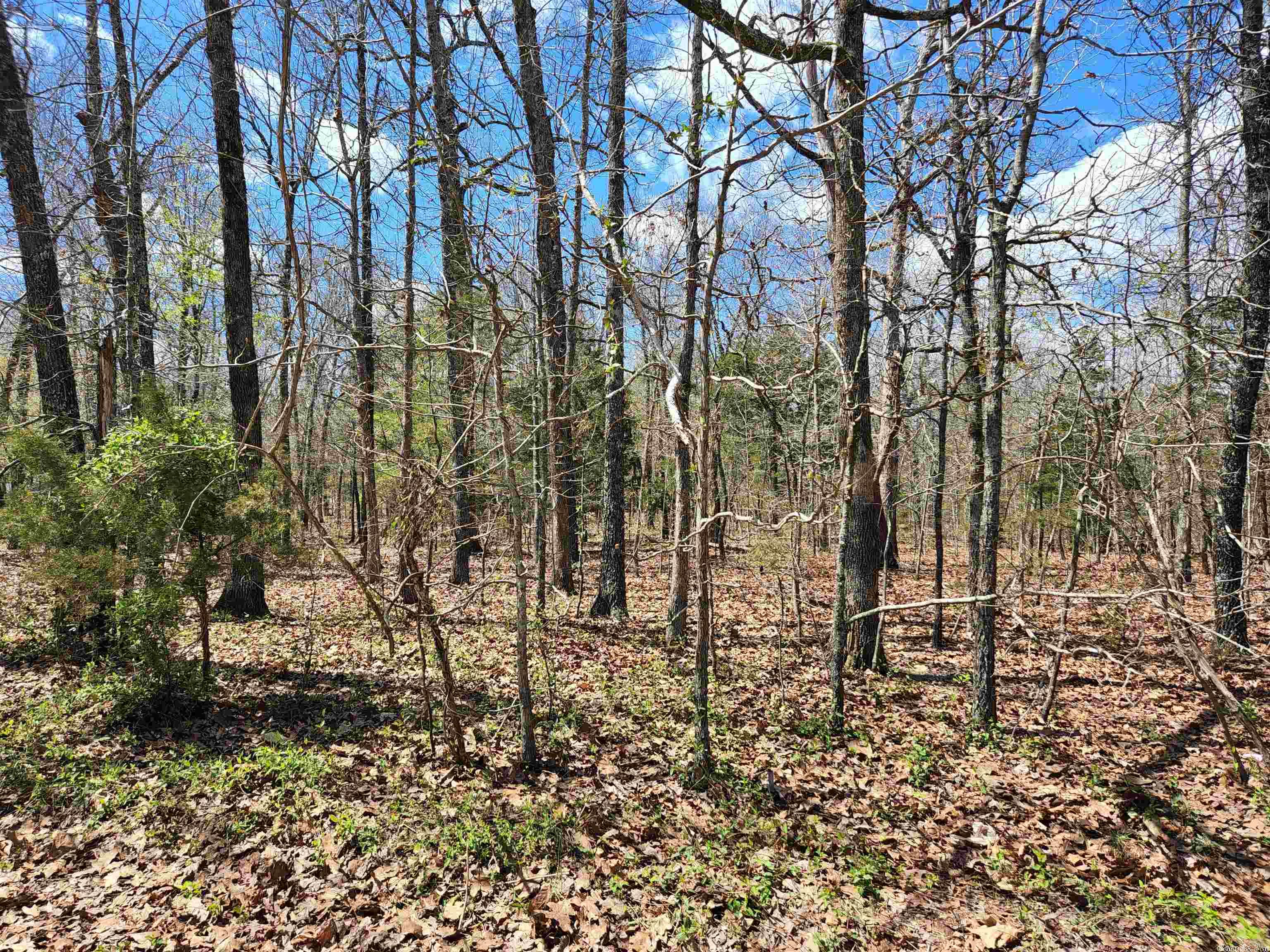 OZARK HEIGHTS HIDDEN VALLEY - Land