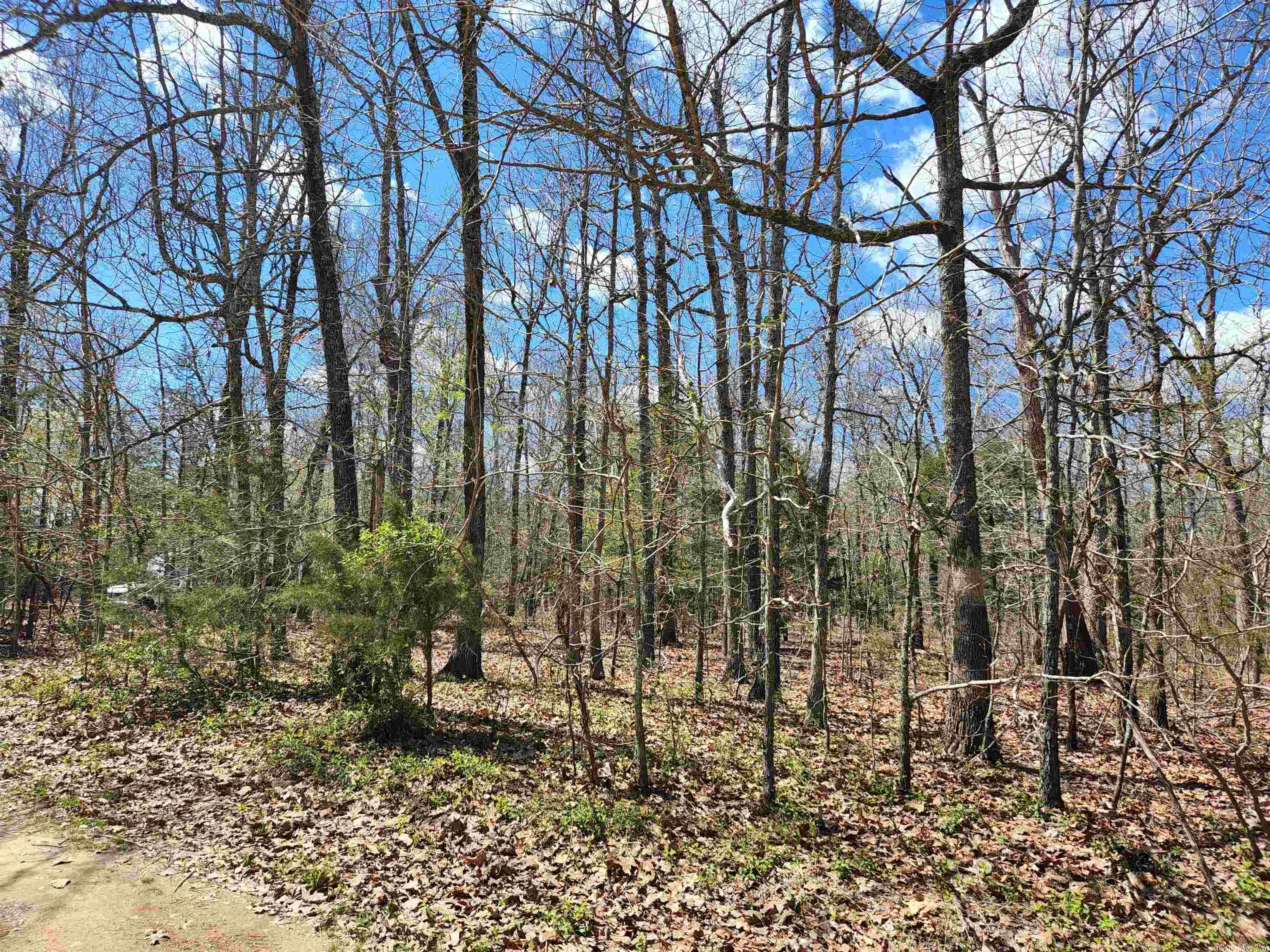 OZARK HEIGHTS HIDDEN VALLEY - Land