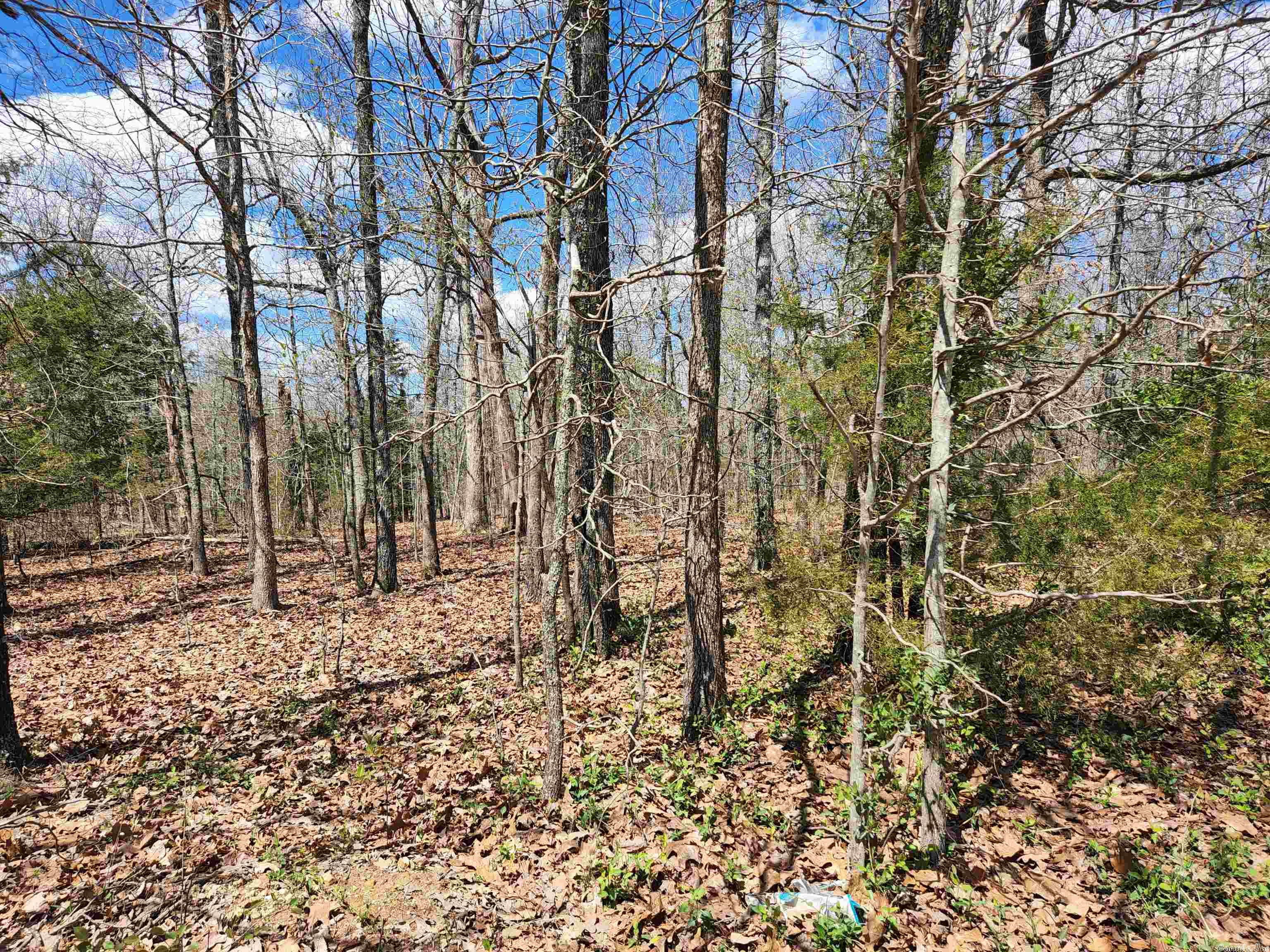 OZARK HEIGHTS HIDDEN VALLEY - Land