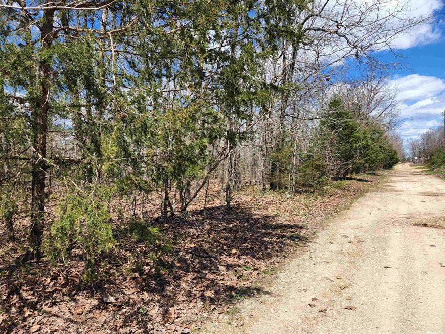 Come see this nice parcel just far enough outside the city limits to enjoy life to the fullest. Less than a mile off the paved road and the country life awaits you. Pick your spot for your new home or your mobile or a cabin. Far enough away from the main road to enjoy nature but close enough to town for shopping and dining. Come see what rural property and rural living has to offer. The Southfork River, the Spring River and Strawberry River are minutes away for tubing, fishing or just soaking your feet in.