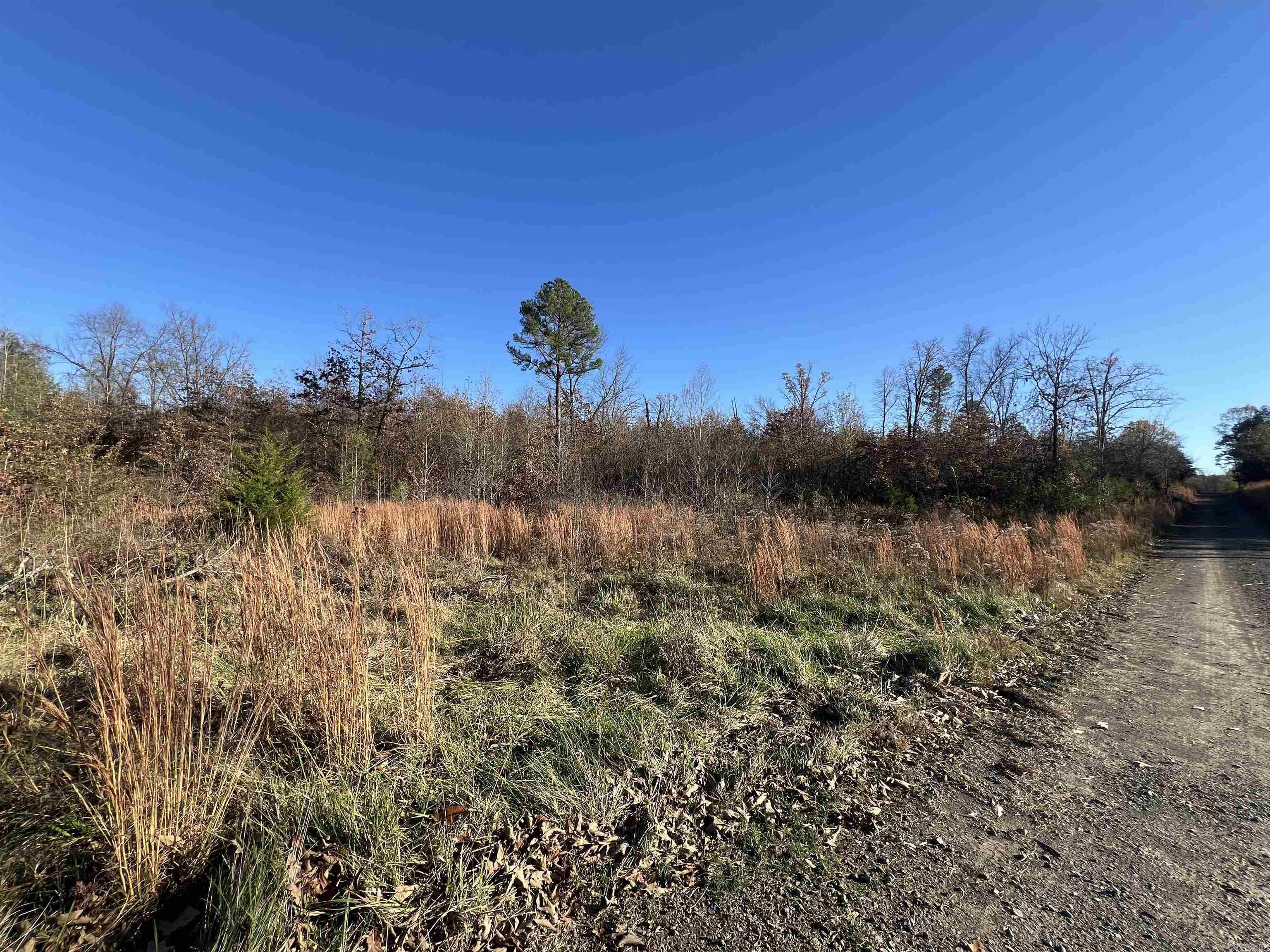 Discover 20 acres of stunning, tree-covered land just west of Damascus in Center Ridge, AR. This mostly wooded property features an abundance of pine trees and a wet-weather pond, offering endless possibilities. Whether you're looking for a hunting retreat, a place for outdoor recreation, or the perfect site to build your dream home, this property has it all. Don't miss the chance to own this incredible piece of land! **Mineral rights do not convey