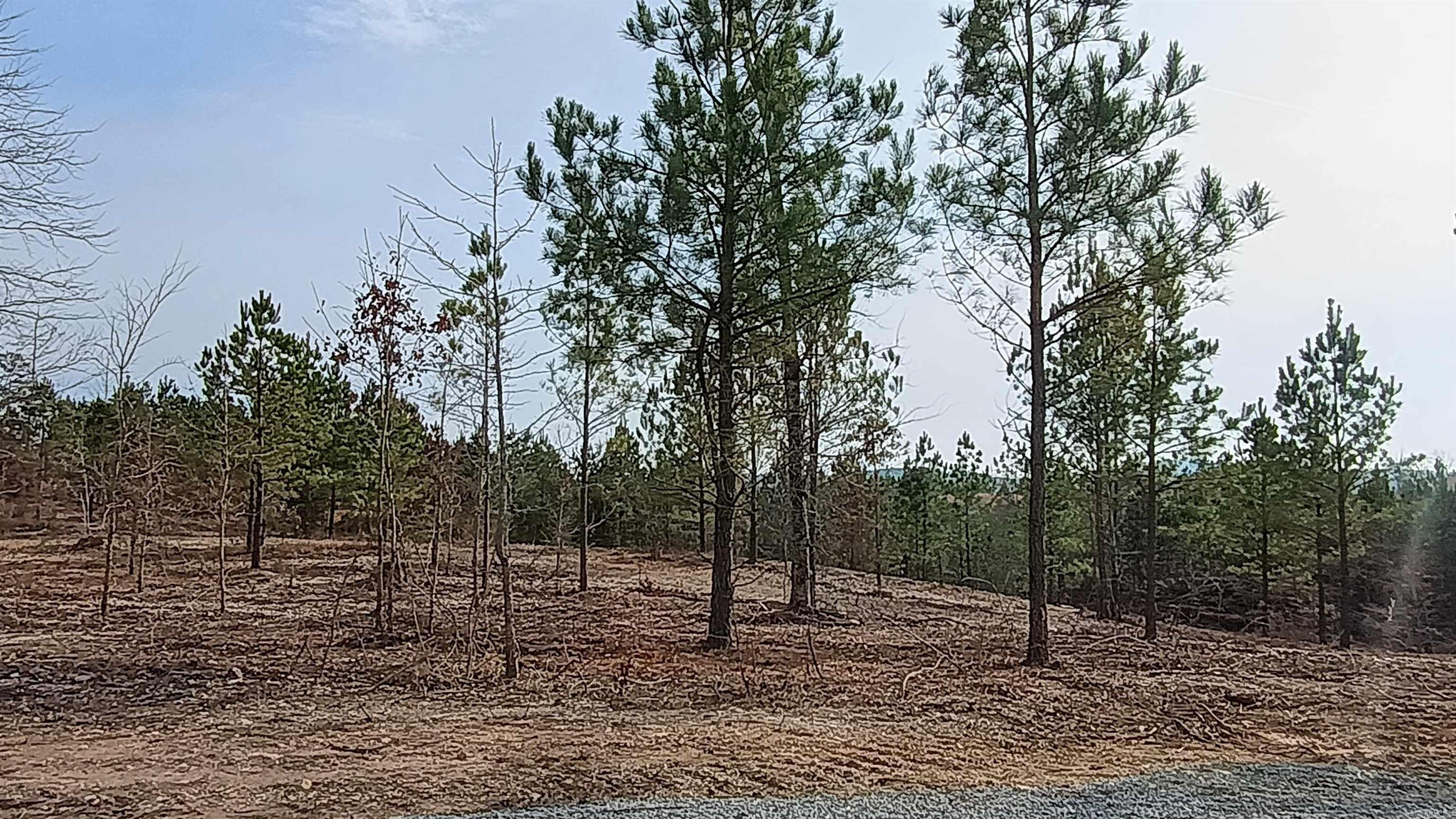 Metes & Bounds - Land