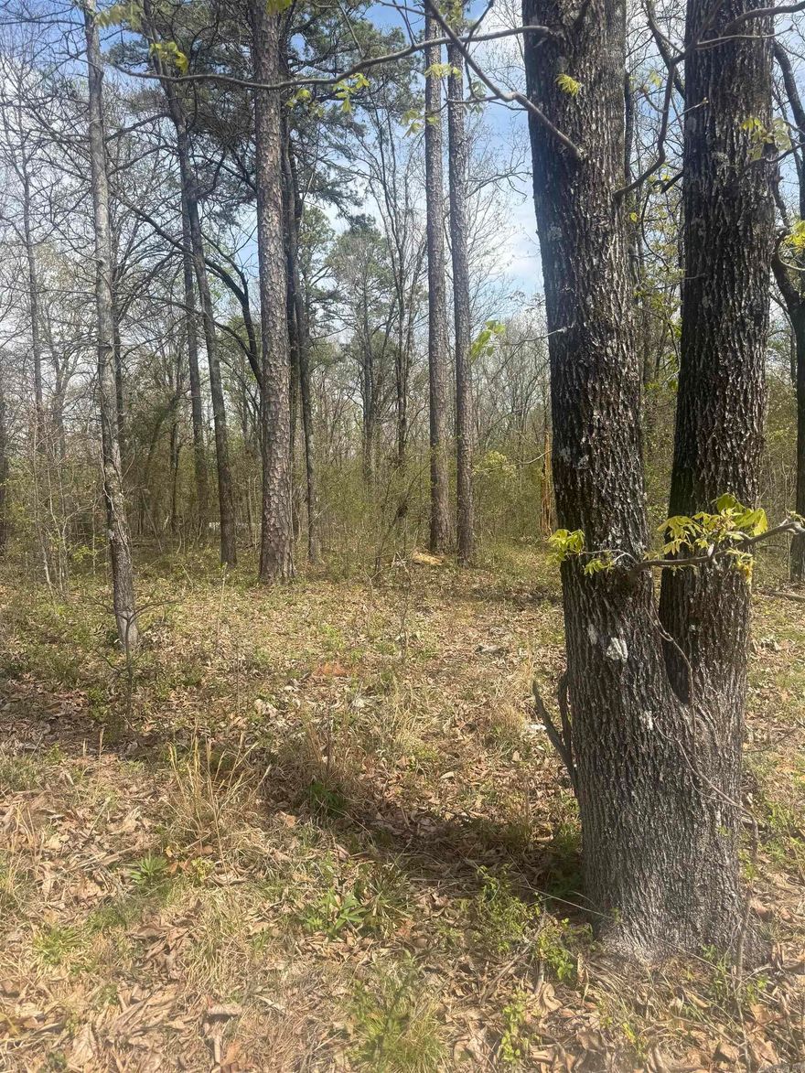 2 wooded acres located in the Finch area, offering a great opportunity for residential use. This property provides a peaceful setting with plenty of potential to build your dream home. Water and electricity are available (buyer to verify providers and connection details). Don’t miss your chance to own this beautiful piece of land—call today for more information.