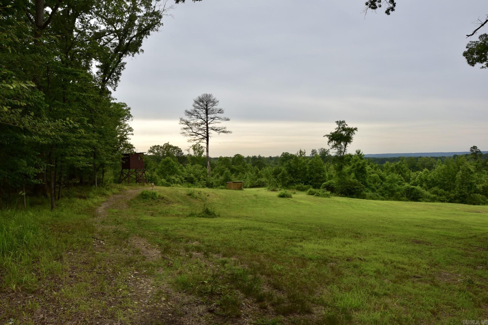 ARKADELPHIA REAL ESTATE - Residential