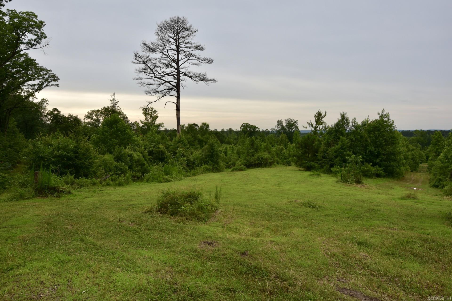 ARKADELPHIA REAL ESTATE - Residential