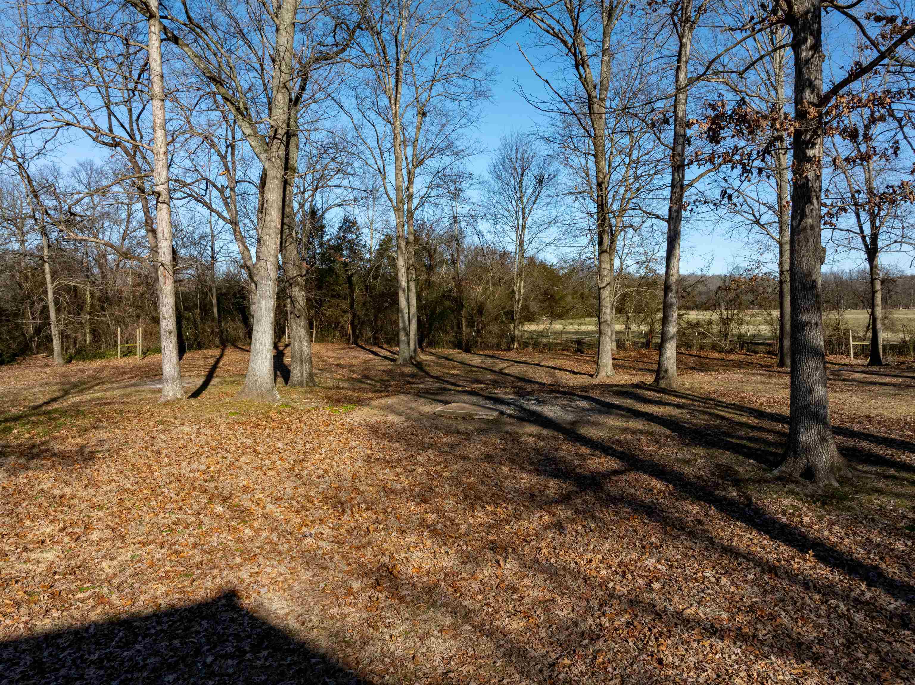 Huskey - Residential