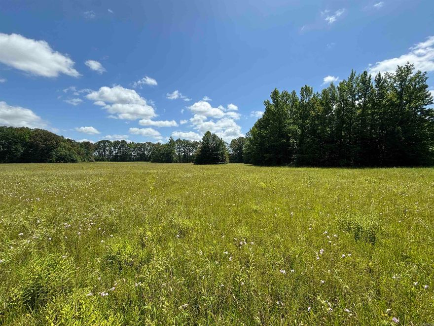 Beautiful pastureland*no restrictions*great place in the country to raise your family*perfect place for a house, barndominium or mobile home*quiet country road*Sheridan Schools*small pond*survey and legal description in office and online under mls docs*additional land can be purchased see mls  25025887