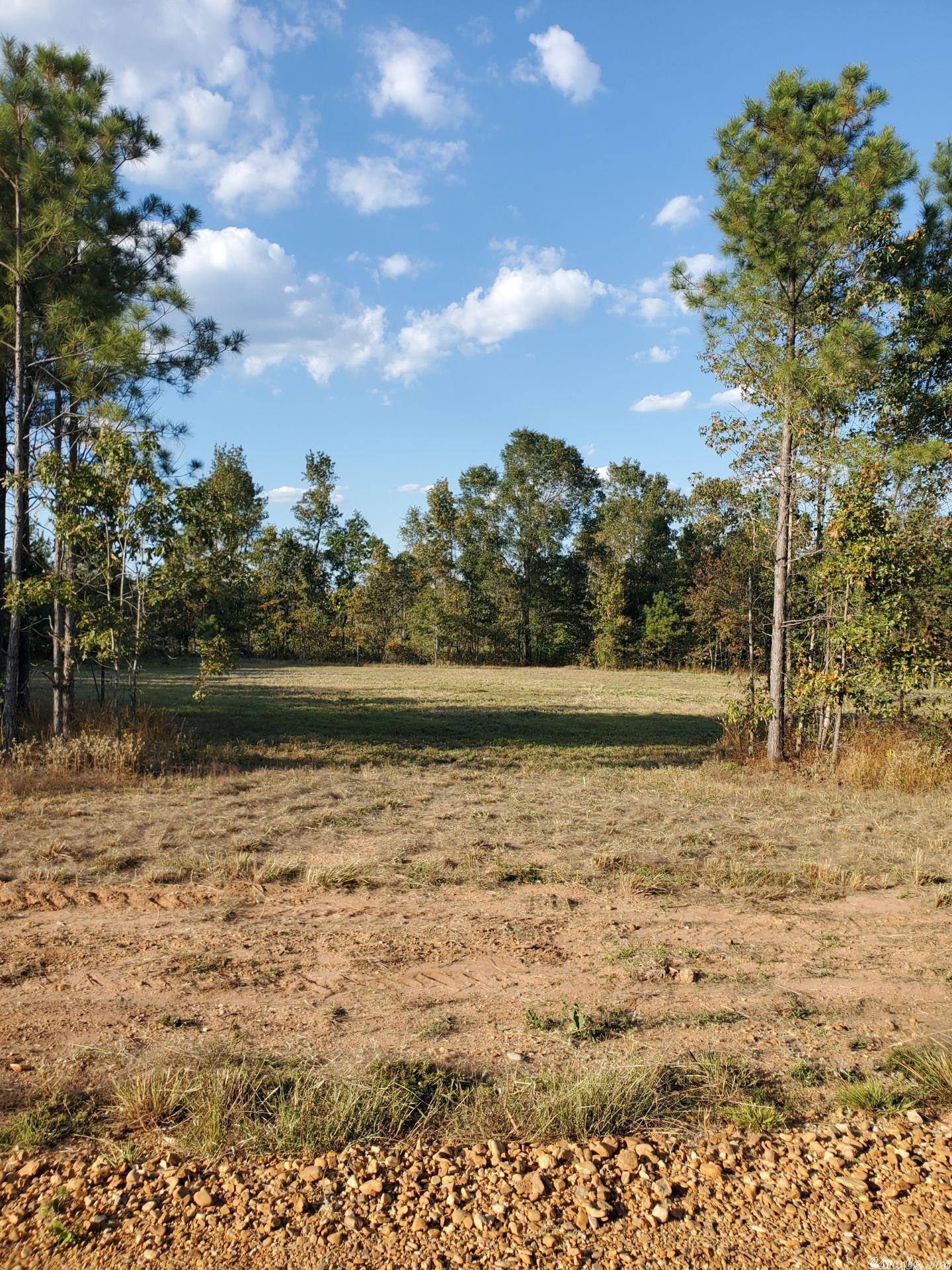 Get ready to embrace country living!! Young Pines Subdivision is newly developed and ready for dream homes to be constructed! Lots are located in the Woodlawn School District, equipped with water, electricity, and natural gas, and are located on brand new county road, Young Pines Road. Restricted to 1,500 sqft homes - no trailer, mobile, or modular homes allowed. Lot 12 is a 2.50 acre lot. Come take a look today!