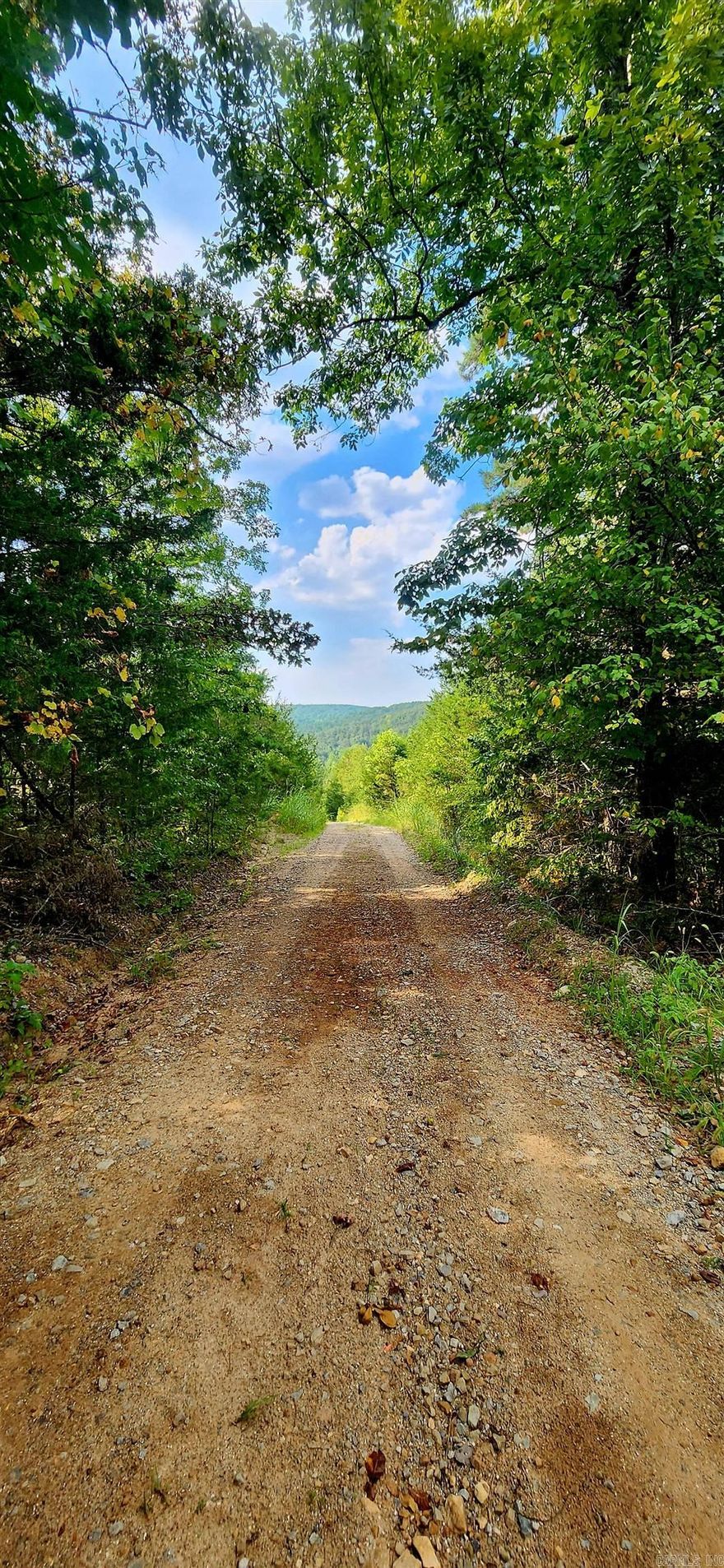 Peaceful Mountain Getaway- Discover your own slice of paradise in the Ozarks with this serene 20.75-acre property, ideally situated off Highway 9 South. Just minutes from Mountain View, Arkansas- the "Folk music capital of the world." This property offers the perfect balance of seclusion & convenience, allowing you to enjoy the best of both worlds. The land gently slopes across both sides of a picturesque gravel road, providing breathtaking mountain views.  With it's scenic overlook and serene surroundings,  this property is the ideal canvas for your dream home, a peaceful cabin getaway, a place to hunt or a perfect investment opportunity. Whether you're an outdoor enthusiast or seeking a quiet place to unwind, this property offers endless possibilities. Don't miss your chance to own a piece of the  Ozarks.   At beginning of drive on the left, just passed mail boxes there is a Ozark Rivers Realty sign on a tree. The property is pretty much divided equally to both sides of the drive. There is a 2nd sign up the hill on the right up on a tree. That is where the property ends. There is a 20ft easement through the driveway for the 2 families that live at the top to access their property