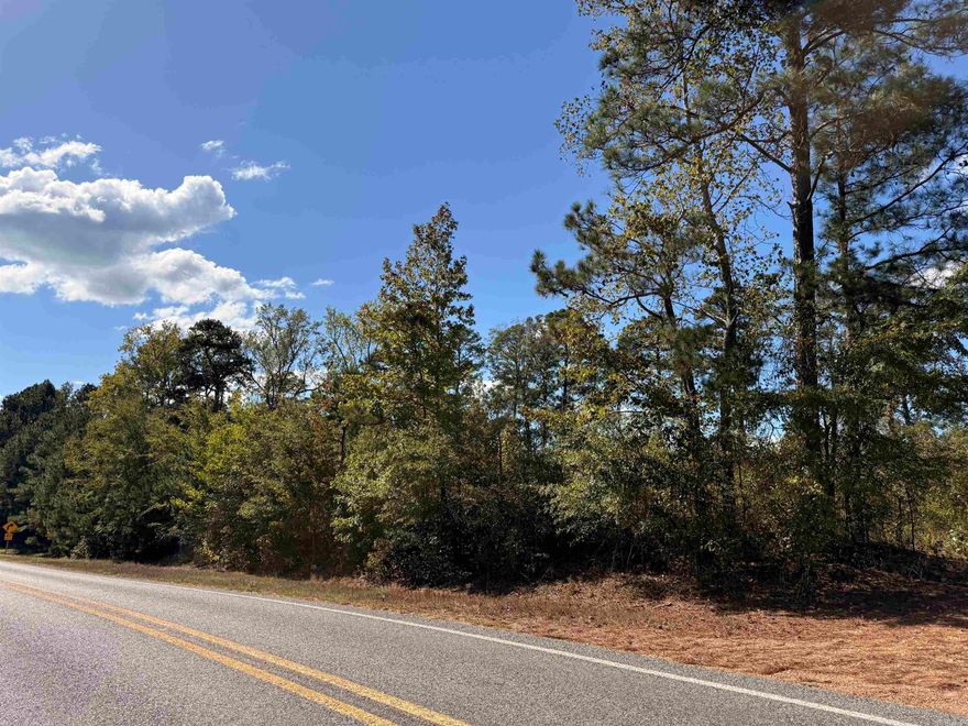 Great opportunity to own 1 acre of land with highway frontage on Hwy 200. Located in a peaceful rural area, this property offers easy access and plenty of potential for a homesite, getaway spot, or investment. Don’t miss this affordable slice of country living!