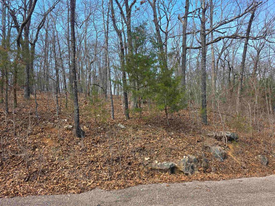 Wonderful, Wooded lot. This lot sits up high above the road. Lots of trees and lots of nature and wildlife. Come check this lot out, check out the view and see where you want to put your vacation home or your forever home. Retire here and fish 7 different lakes and golf 2 different 18-hole golf courses. Don't forget about the beautiful South Fork River that flows right through the Village. Shop in Old Hardy town and trout fish the Spring River. That's living the Cherokee Village lifestyle.