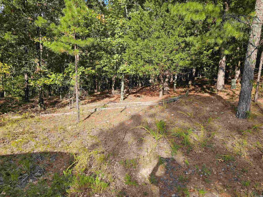 Beautiful level lot