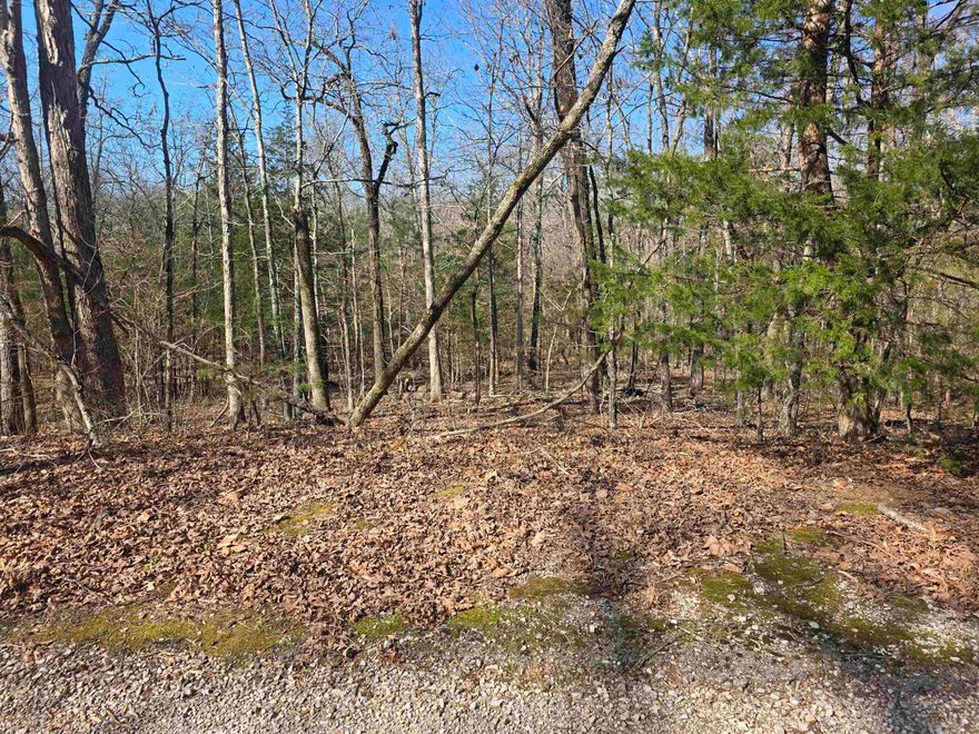 Wonderful and wooded lot in the heart of Cherokee Village. Secluded and away from it all. But close to a main road for quick exits from the Village for shopping, dining and entertainment. Lots of trees and lots of wildlife as well as a wet weather creek at the very back of the lot. Buy this lot and pick your spot to build your dream home or just a getaway cabin. With ownership of this lot, you will have access to all the amenities of Cherokee Village such as the 7 lakes and Two 18-hole golf courses also the Thunderbird Center and swimming pool, mini golf, parks, hiking trails and don't forget about the beautiful Southfork River for fishing, kayaking or just floating down to wet your toes. This is a wonderful lot to purchase and plan for your future home. Call to purchase this one. This lot can be purchased in a package deal with 4 other lots. All side by side. That's 5 lots in total for great seclusion and privacy.