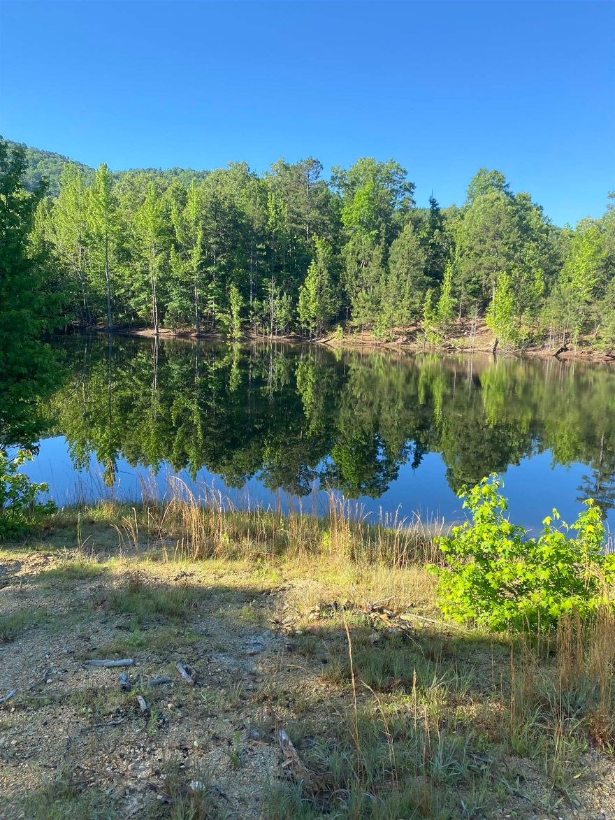 Lovely wooded acreage with building sites.  Paved road to property.  Gravel driveway to the building sites.  This is a rare find and a must see! A portion of pond on adjoining property.