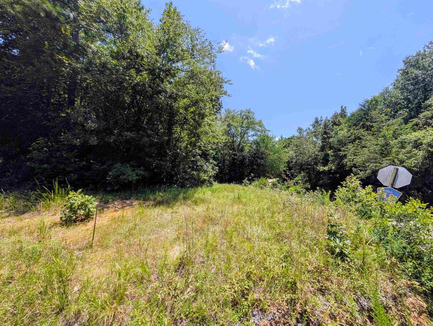 66.26 acres of untouched natural beauty in the beautiful Ouachita mountains. This wooded property features mature timber, a year-round creek, and sweeping mountain views. Rolling terrain offers elevation changes, clearings, and natural features ideal for wildlife and recreation. Electricity nearby.