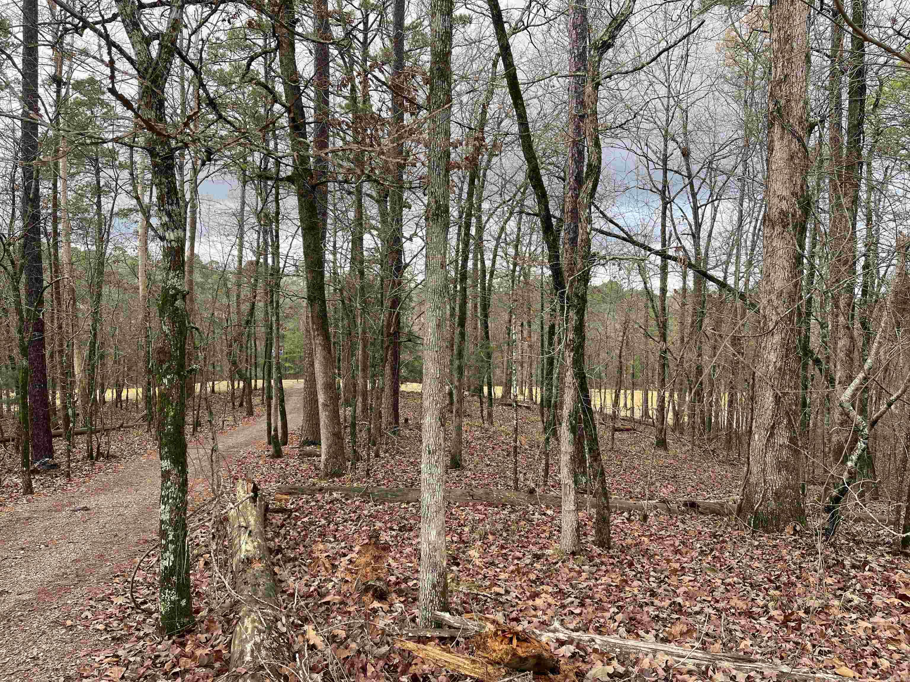 Great lot in the heart of Diamante Golf Course HSV!  Gentle slope with views of the 5th Fairway.   Come build your dream home on a larger than normal Subdivision Lot (.54 acre) in a mature neighborhood with lots of foliage and exciting homes! With 136' of Golf Course Frontage!   This Lot is Gold status, come check out the Clubhouse and see what all they have to offer.    Last 19 pictures are of our wonderful community