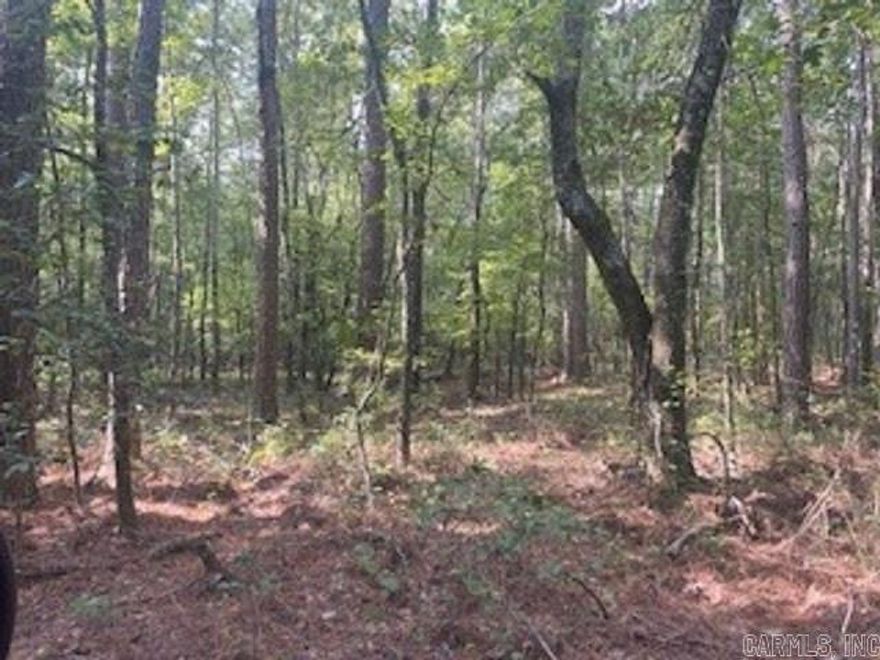 THIS IS TWO 20 ACRE PARCELS NEXT TO EACH OTHER. WOULD MAKE FOR GREAT HUNTING OR CAMP SITE. IT DOES REQUIRE A KEY TO UNLOCK THE GATE TO GET TO THE PROPERTY. CALL OR TEXT LISTING AGENT.