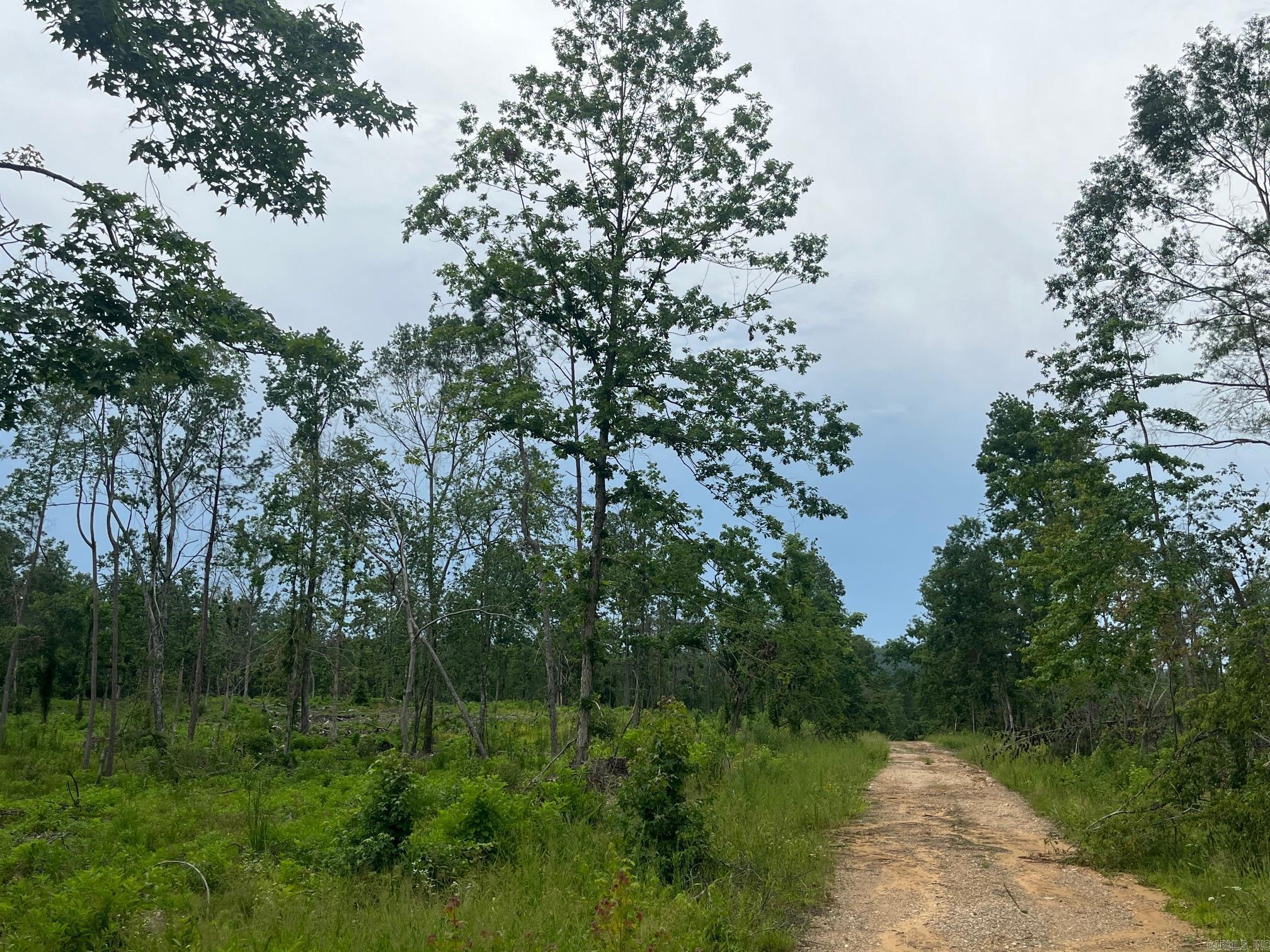This 50+/- acre tract on the Clark/Hot Spring County line has frontage along Highway 84. The pine timber was recently harvested leaving the hardwoods which make the property ideal for rural residential with mountains in the backdrop. Hunt or ride trails right out your back door. The property is near Point Cedar, between Amity and Bismarck. $3,500/Acre (Survey Pending)