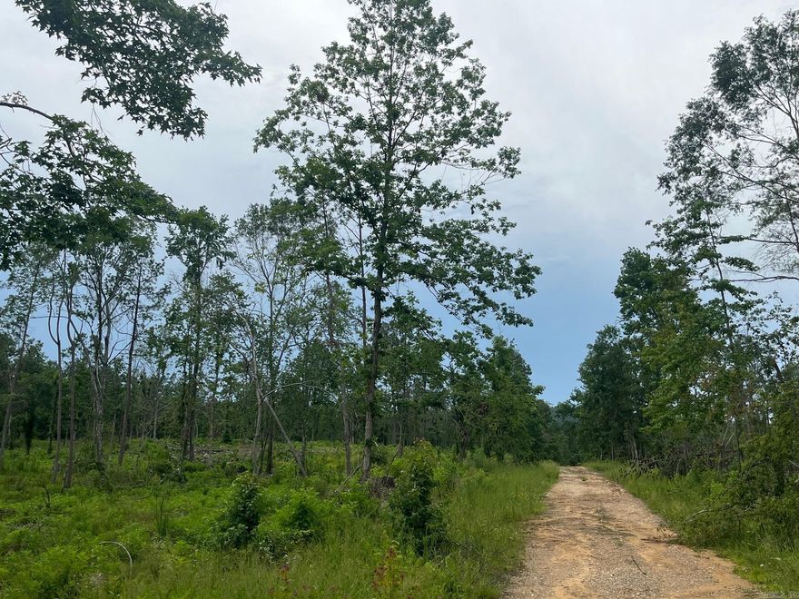 This 50+/- acre tract on the Clark/Hot Spring County line has frontage along Highway 84. The pine timber was recently harvested leaving the hardwoods which make the property ideal for rural residential with mountains in the backdrop. Hunt or ride trails right out your back door. The property is near Point Cedar, between Amity and Bismarck. $3,500/Acre (Survey Pending)