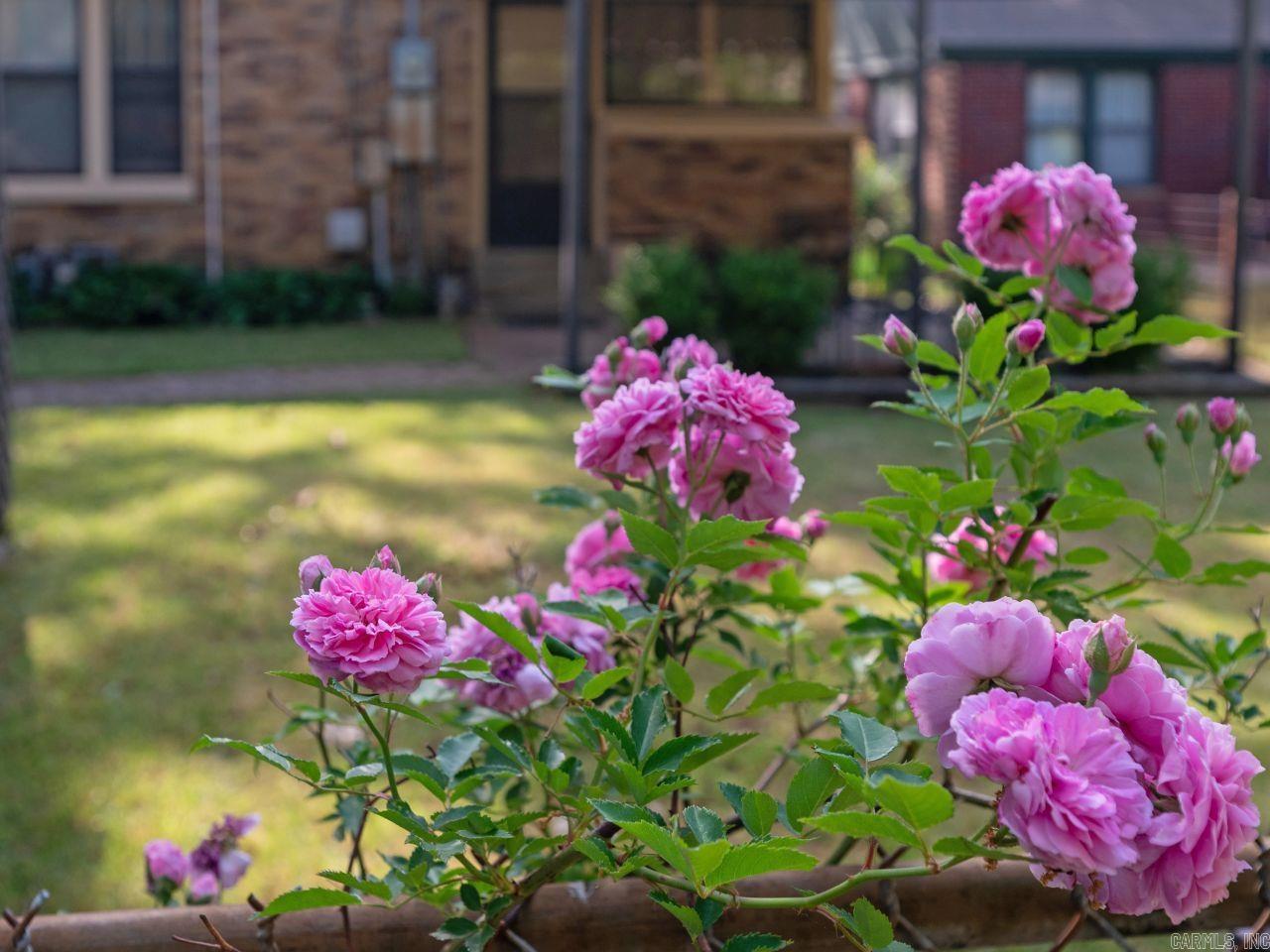 Oak Forrest - Residential