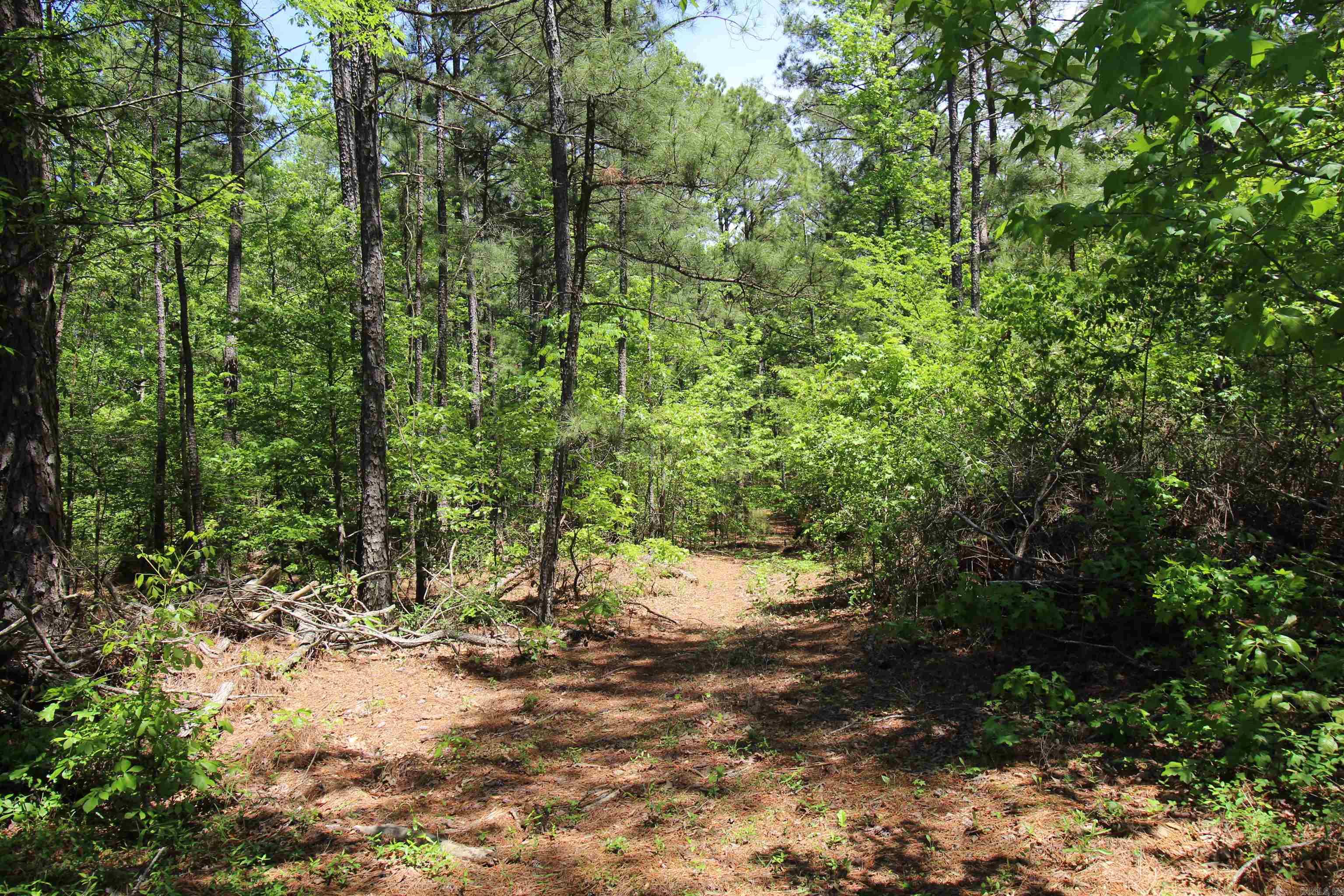 6.11 acres with no restrictions*additional acres available*public water available*mobile homes and livestock allowed*Sheridan Schools*preliminary perc test