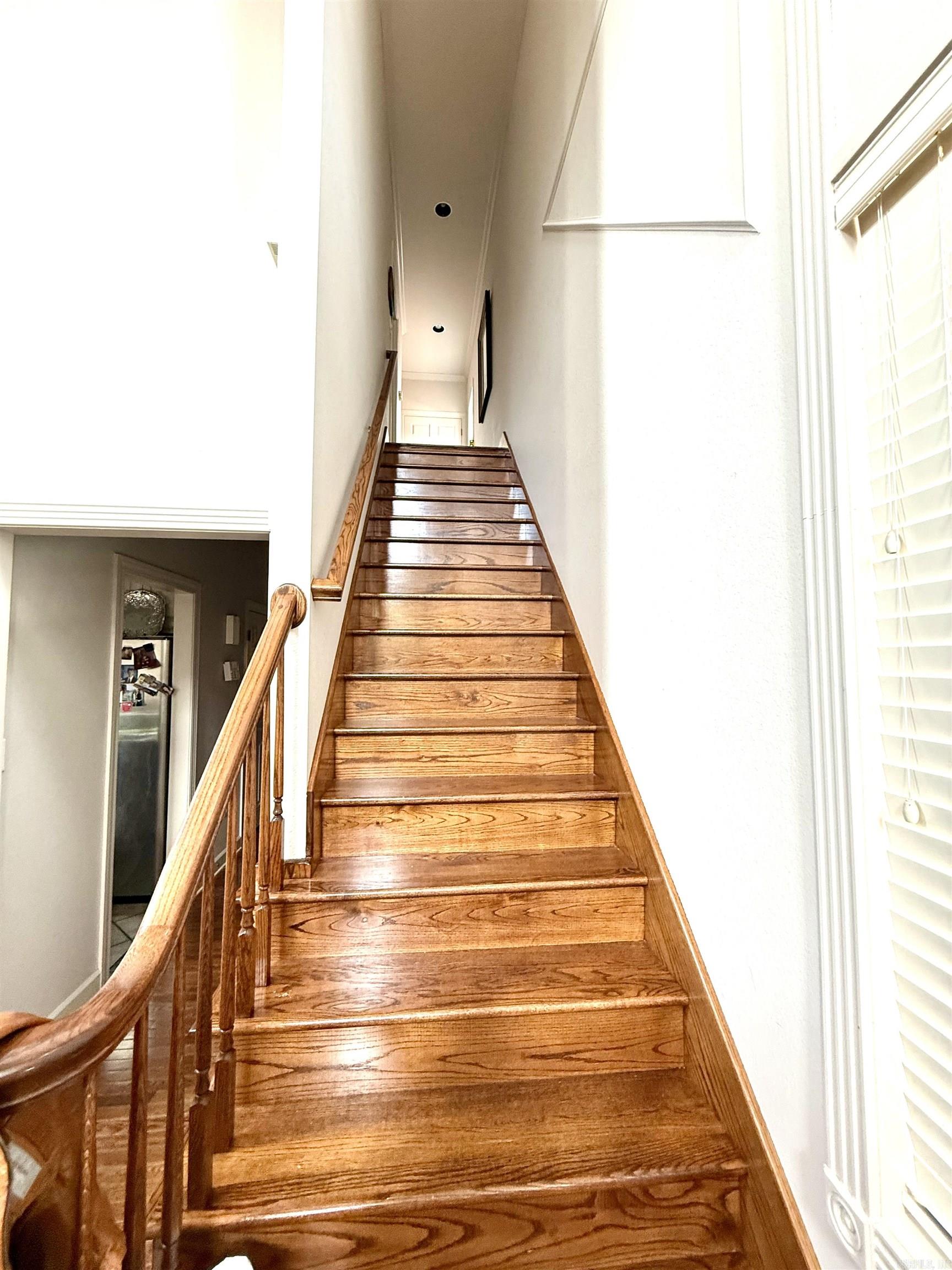 BELVEDERE COURT - Residential