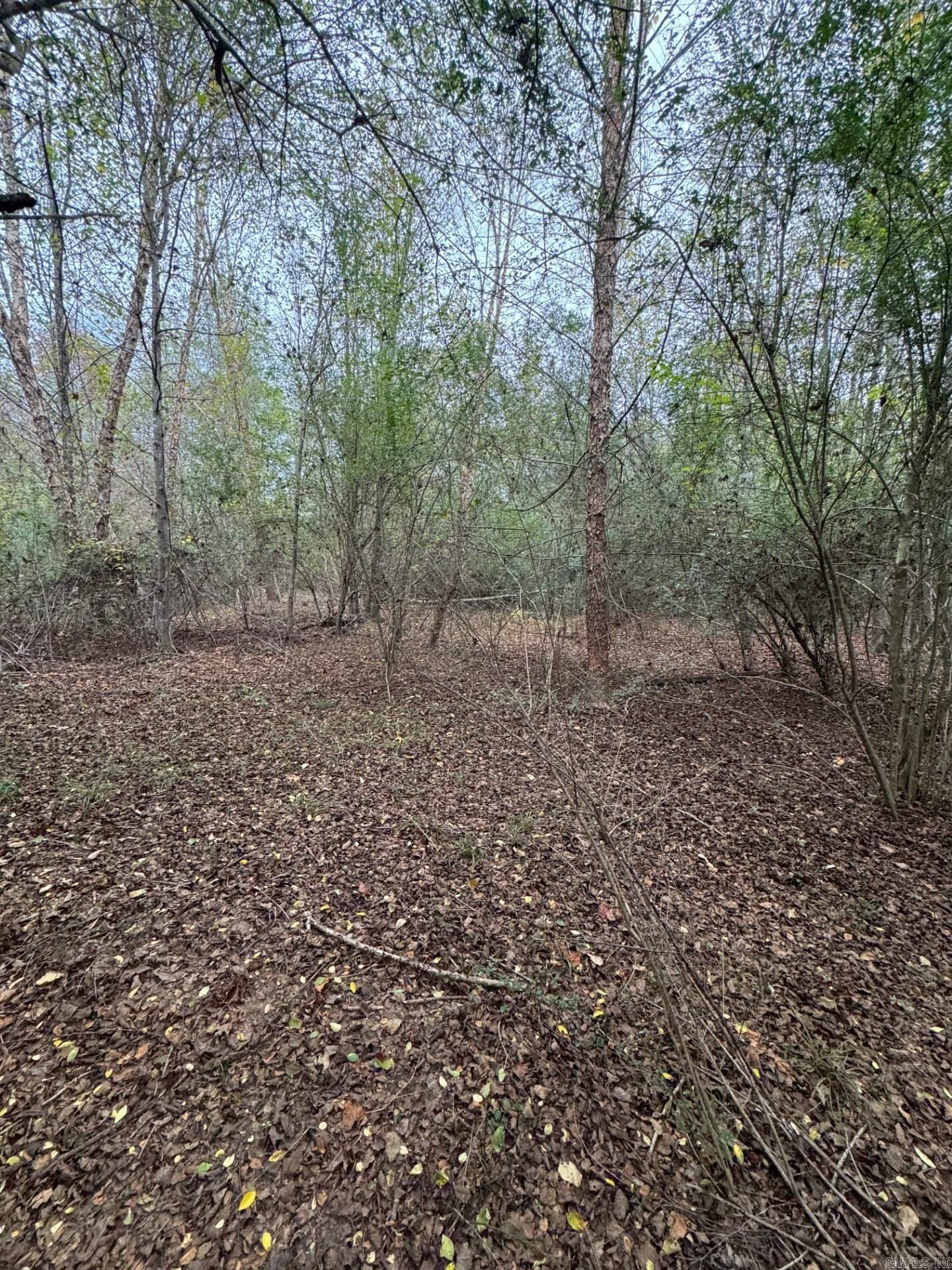 Priced reduced to sale now! Don't miss out. Land values are going up! Almost 20 acres of timber land. Make this property your own vision. Go by and look anytime. Great hunting land, tons of deer. Timber land surrounds the back of property. Contact listing agent for all offers. Sheridan School district. Has recorded easement to get to property. left side of the house, Water was on the property before, Power company said they would put two poles one at the easement and one where home will be. Agents see remarks