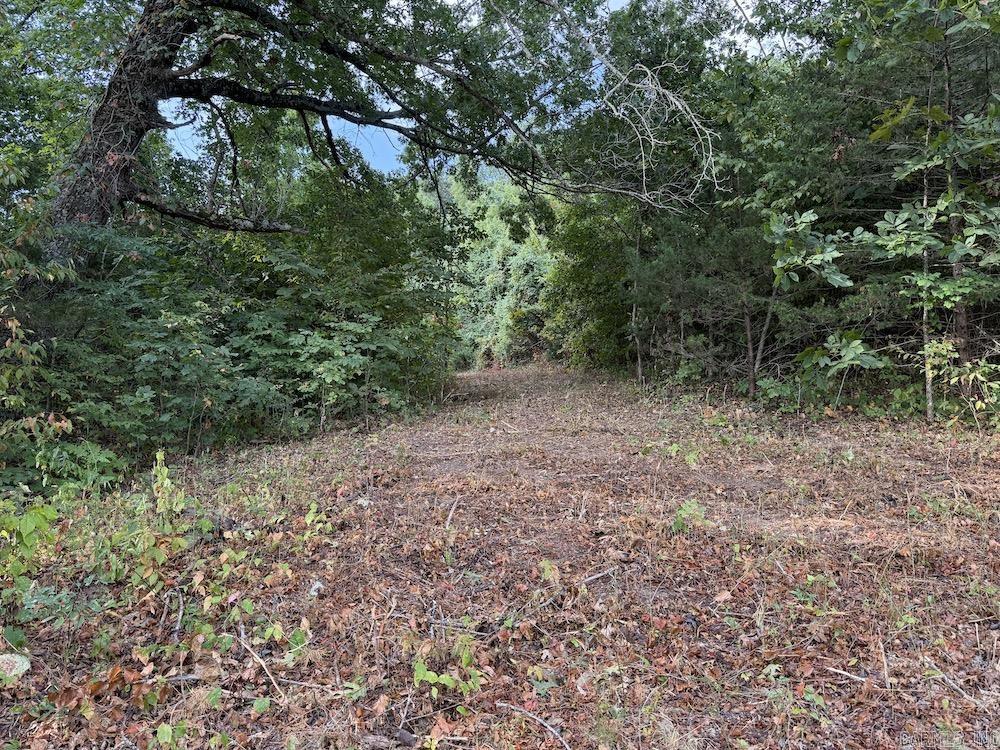 Not in Subdivision - Land