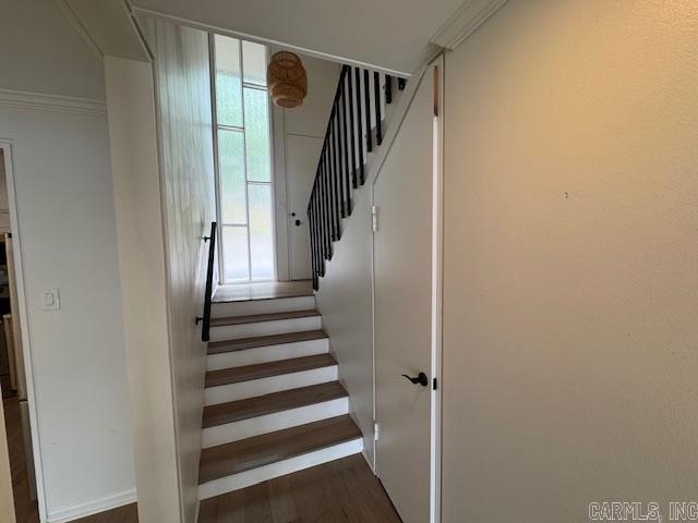 Moonlight Bay Colony - Residential
