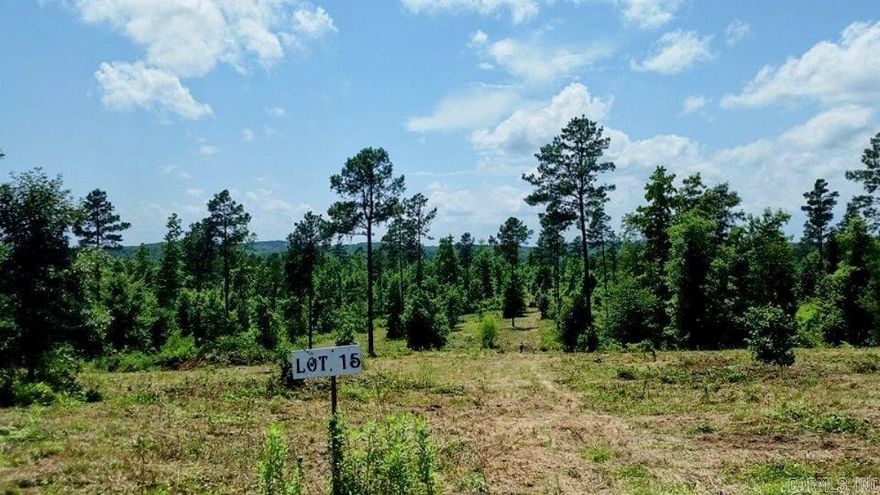 Great spot to build a home, wildlife, Lake Norrell is 2 miles away, quiet and peaceful. No mobile homes allowed.