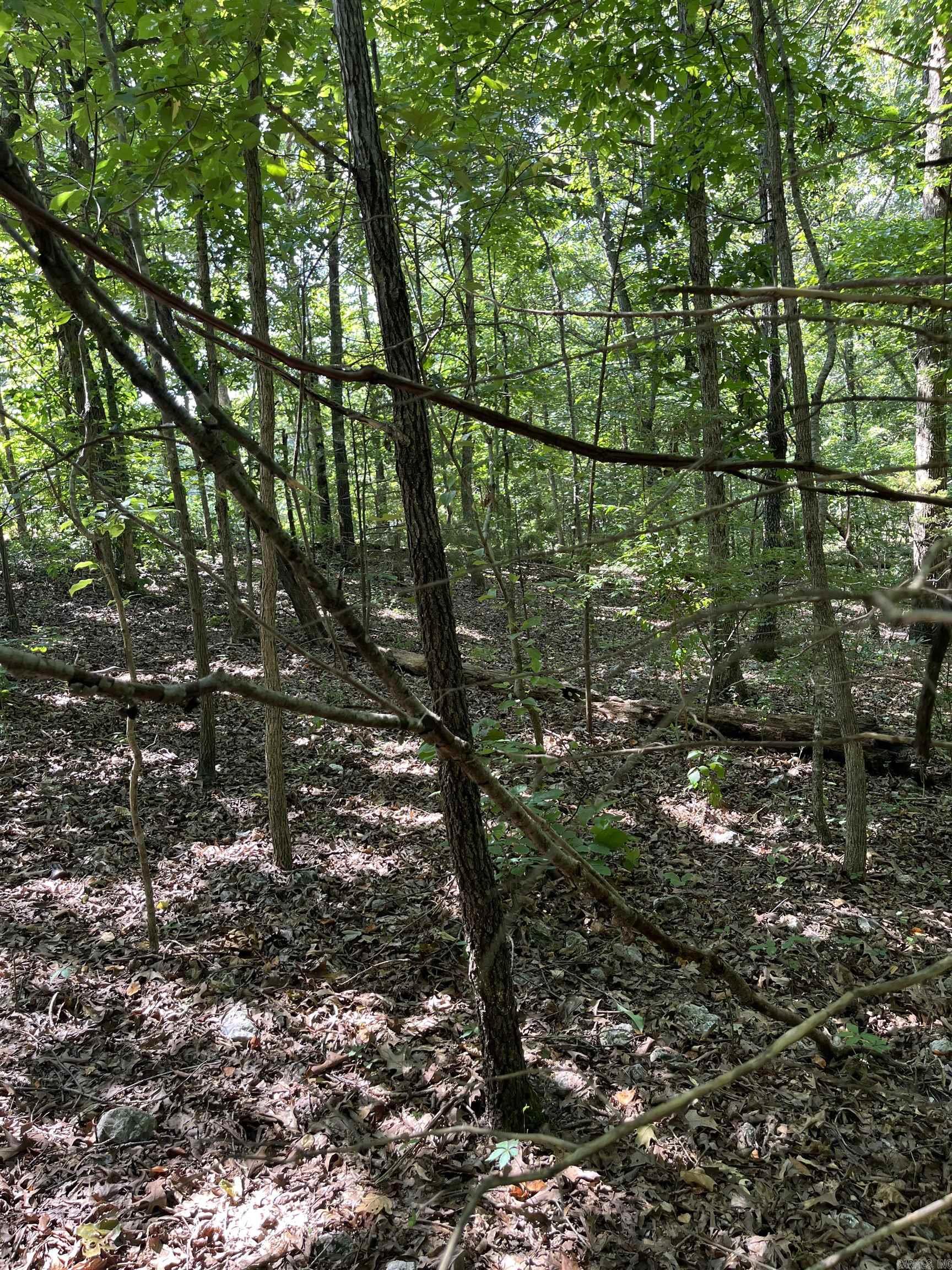 WUNDERLAND ESTATES - Land