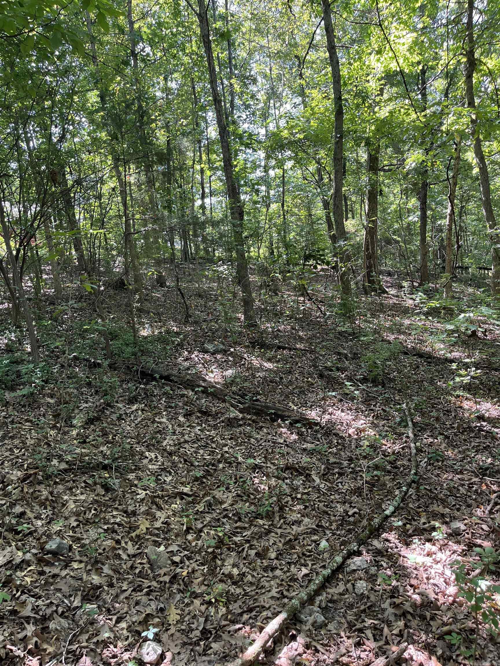 WUNDERLAND ESTATES - Land