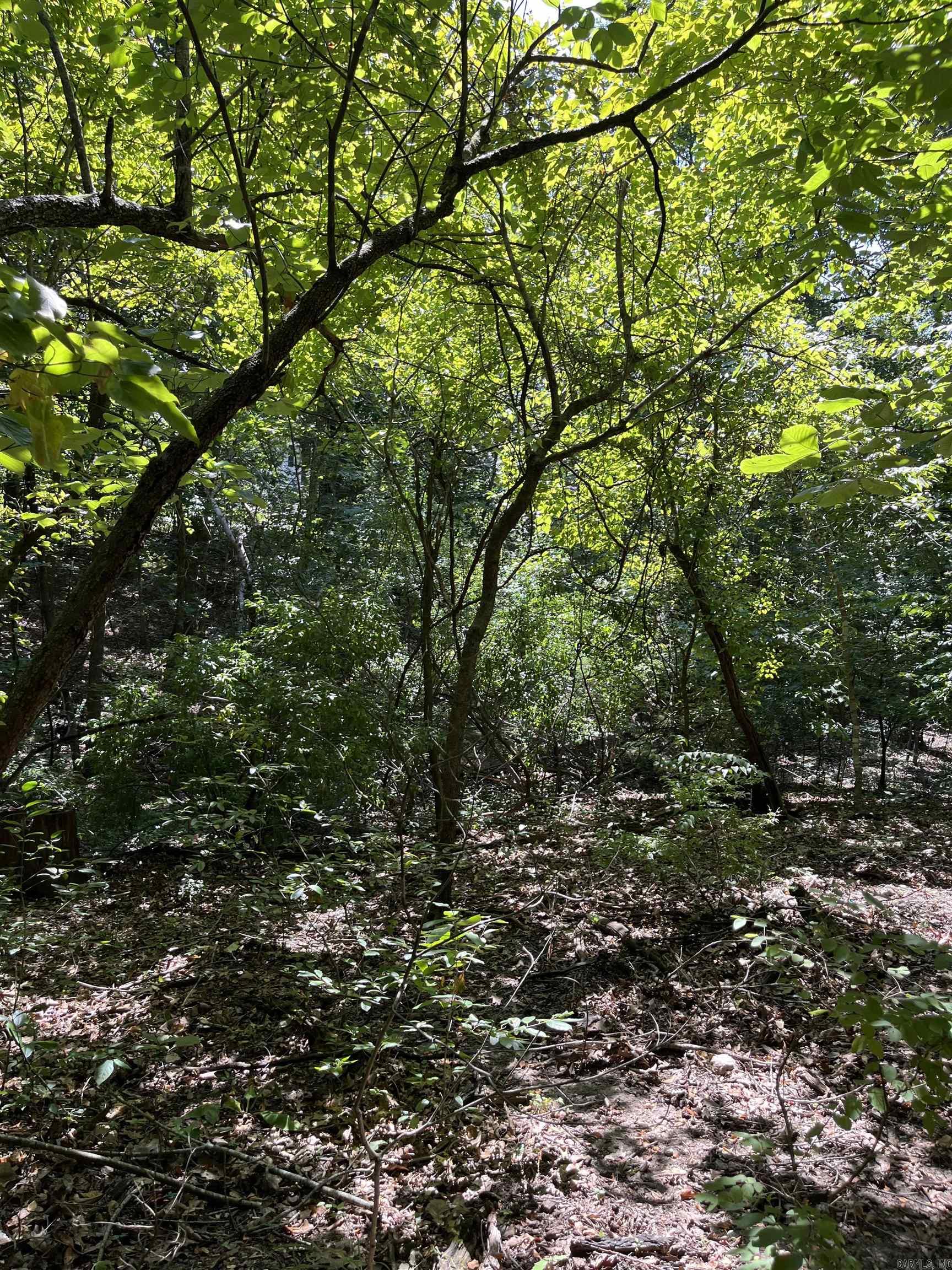 WUNDERLAND ESTATES - Land