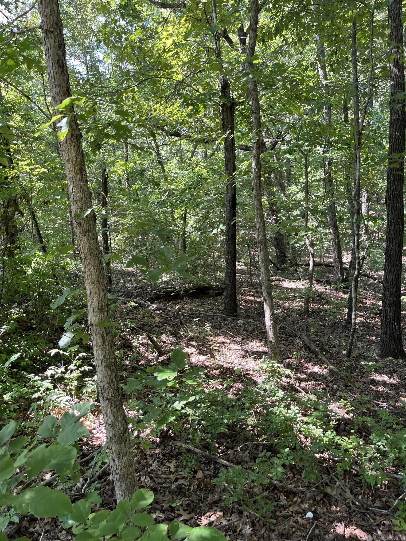 WUNDERLAND ESTATES - Land