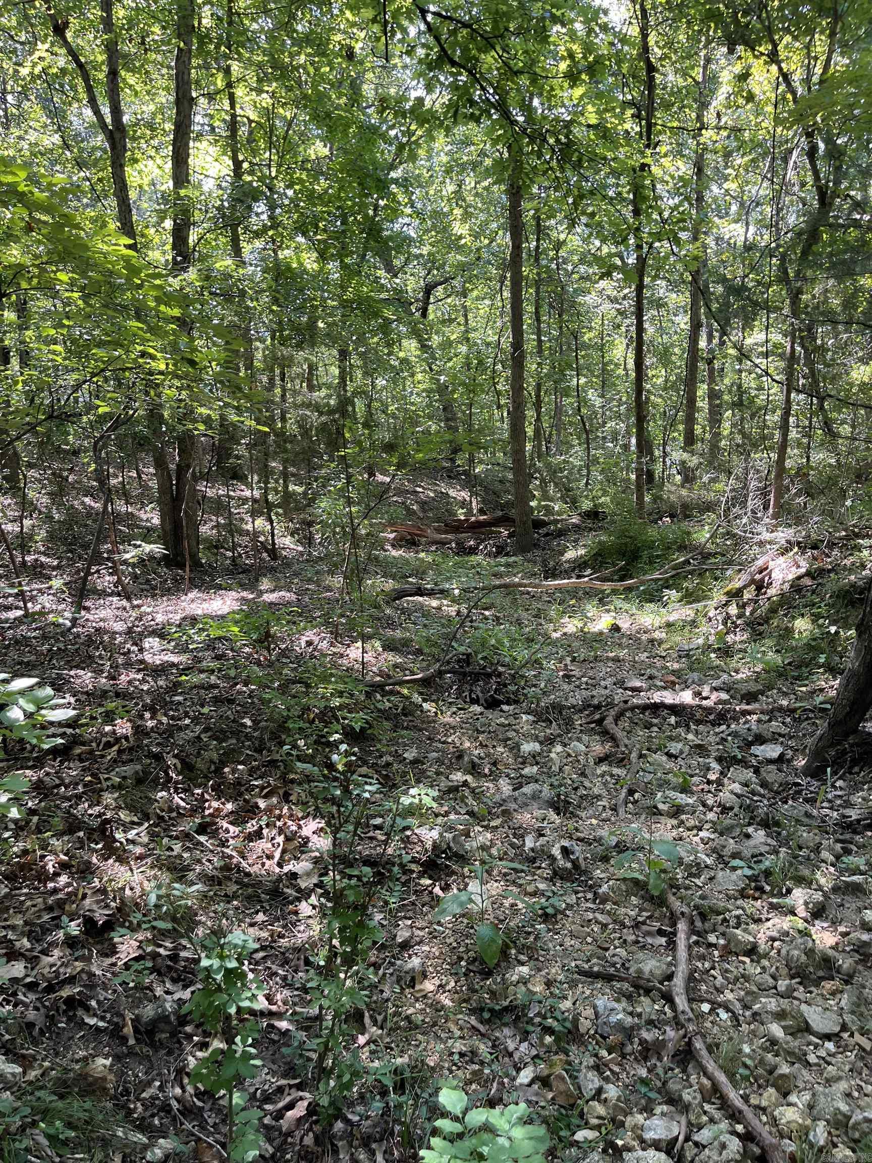 WUNDERLAND ESTATES - Land