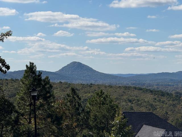 MAJESTIC POINTE - Residential