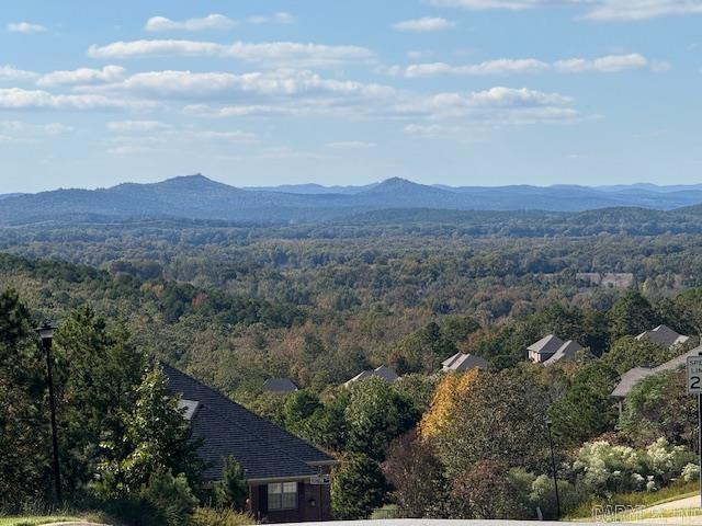 MAJESTIC POINTE - Residential