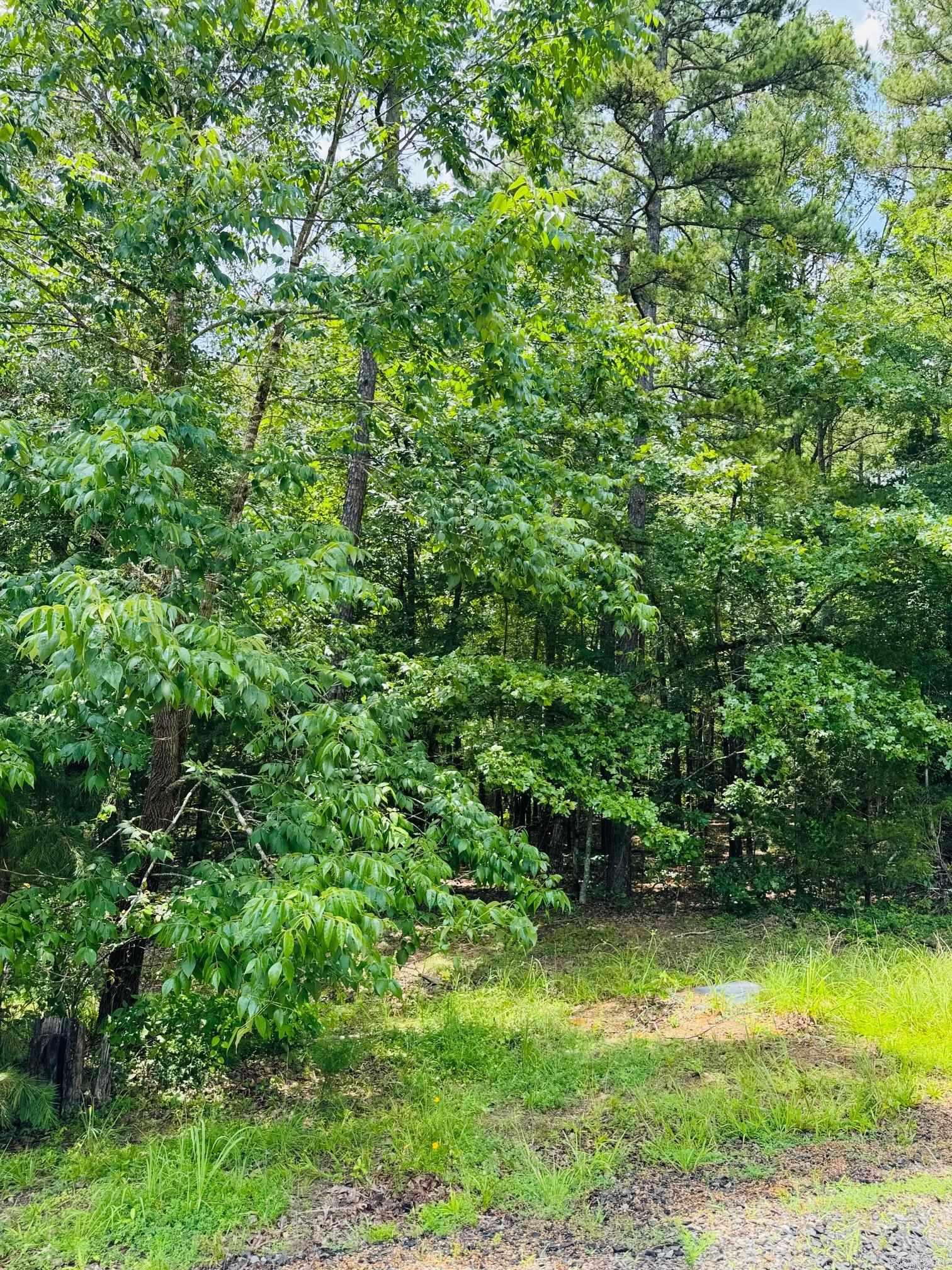 Are you dreaming of retreating to the beautiful Little Red River? This picturesque land is the perfect place to build your cozy dream home. Escape the hustle and enjoy a quiet community that offers a private community pool, boat ramp and dock on the Little Red River and minutes away from Greers Ferry Lake! This gated community offers modern amenities, access to hiking trails, boating, swimming and world-record trout fishing. Access to all the Natural State has to offer is only an offer away. Let us make your dream a reality! This beautiful lot even has a creek view!